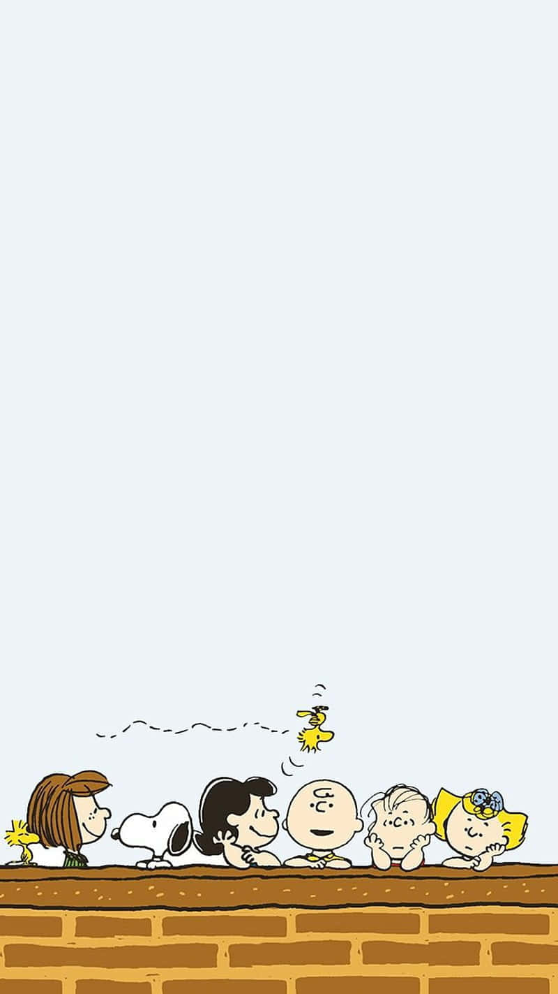 800x1423 Download Charlie Brown Celebrating His Birthday Wallpaper