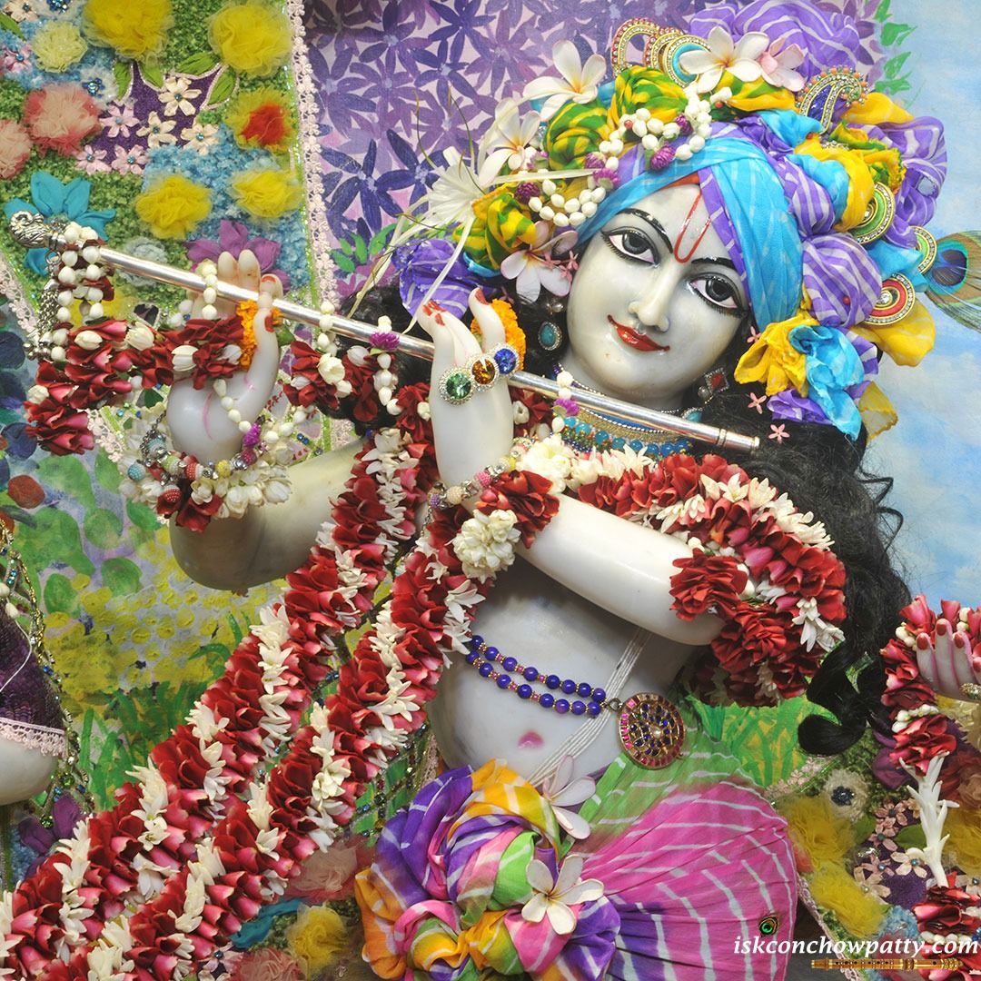 1080x1080 Let your heart be like Krishna's flute, playing the melody of love, compassion and honesty