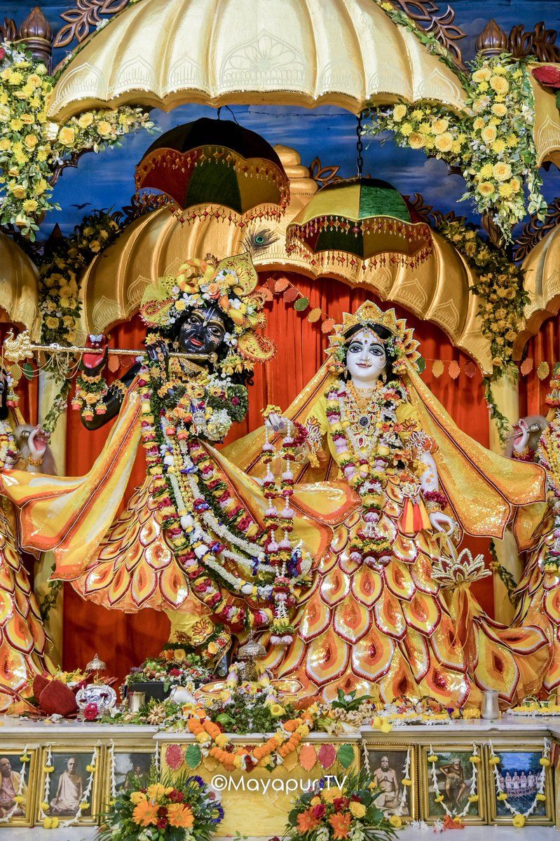 799x1200 Lord Krishna's love is the eternal flame that brightens the darkest days. Hare Krishna
