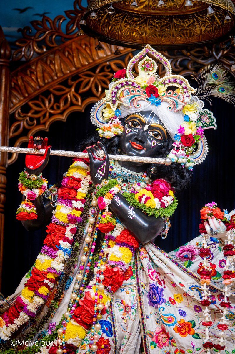 799x1200 When you stop asking why me and start saying thank You, you'll see Krishna's grace in everything
