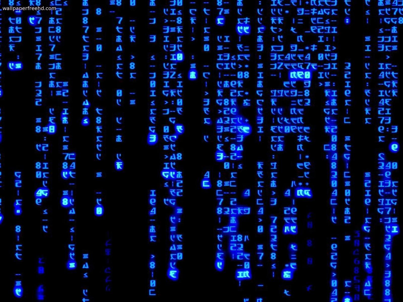 45+ Animated Binary Code Wallpapers - Download at WallpaperBro | Code  wallpaper, Science background, Computer science gifts