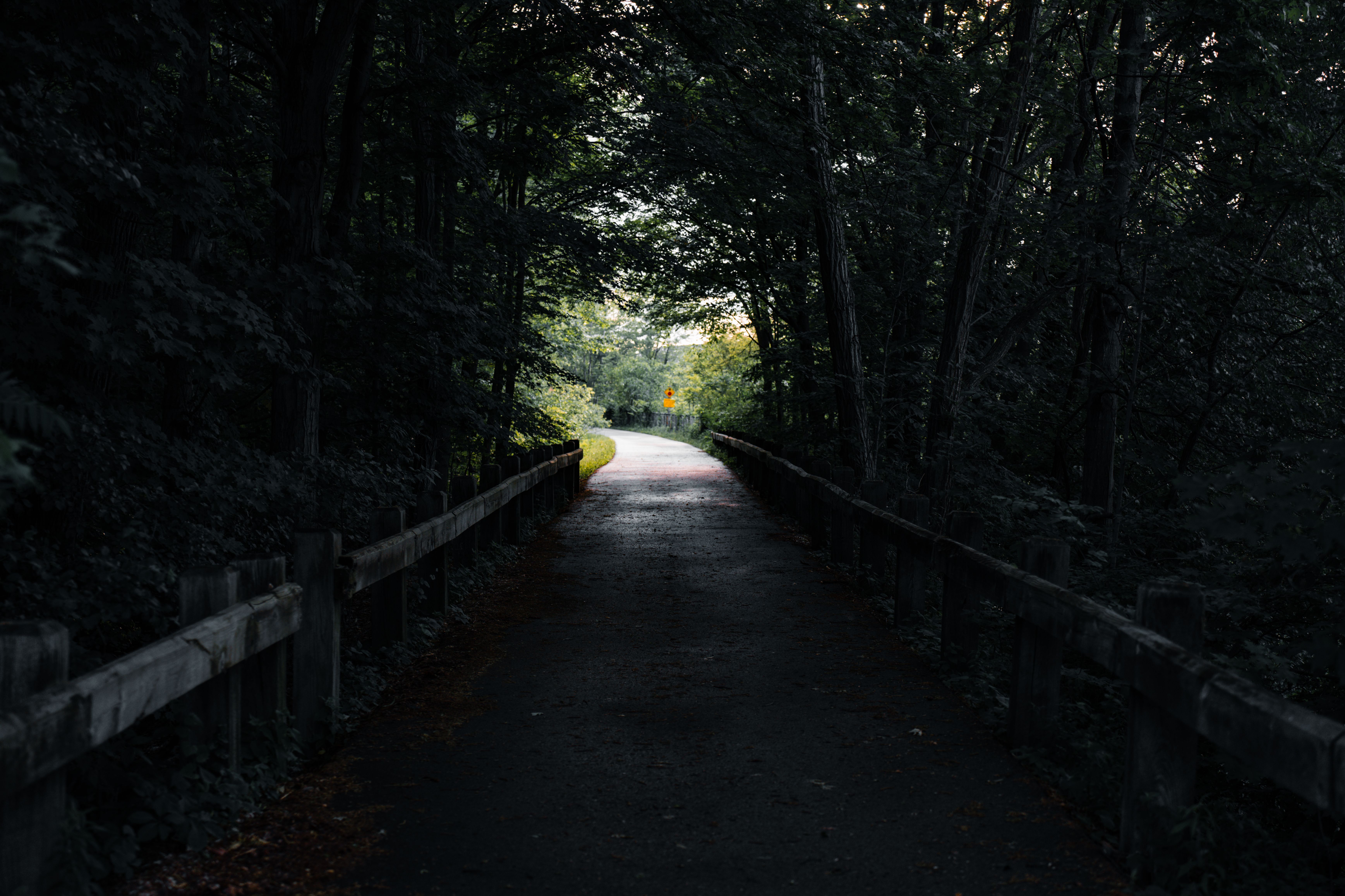 6948x4632 Dark Path Photo, Download The BEST Free Dark Path & HD Image