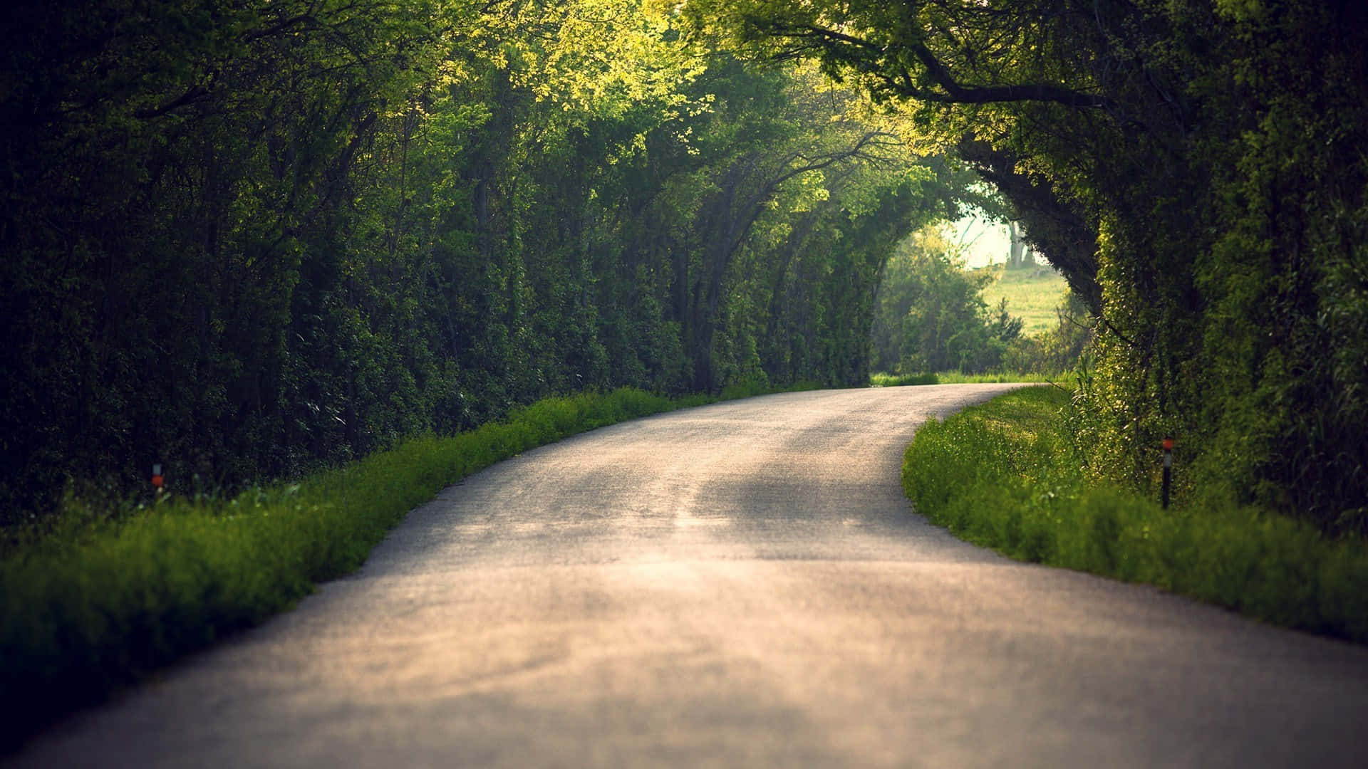 1920x1080 Download Path Under The Garden Tunnel Wallpaper