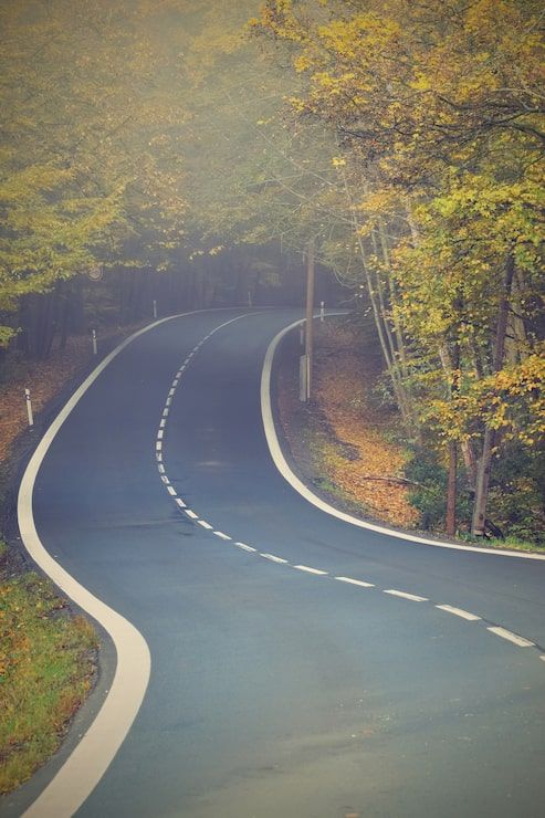 493x740 Narrow road Image