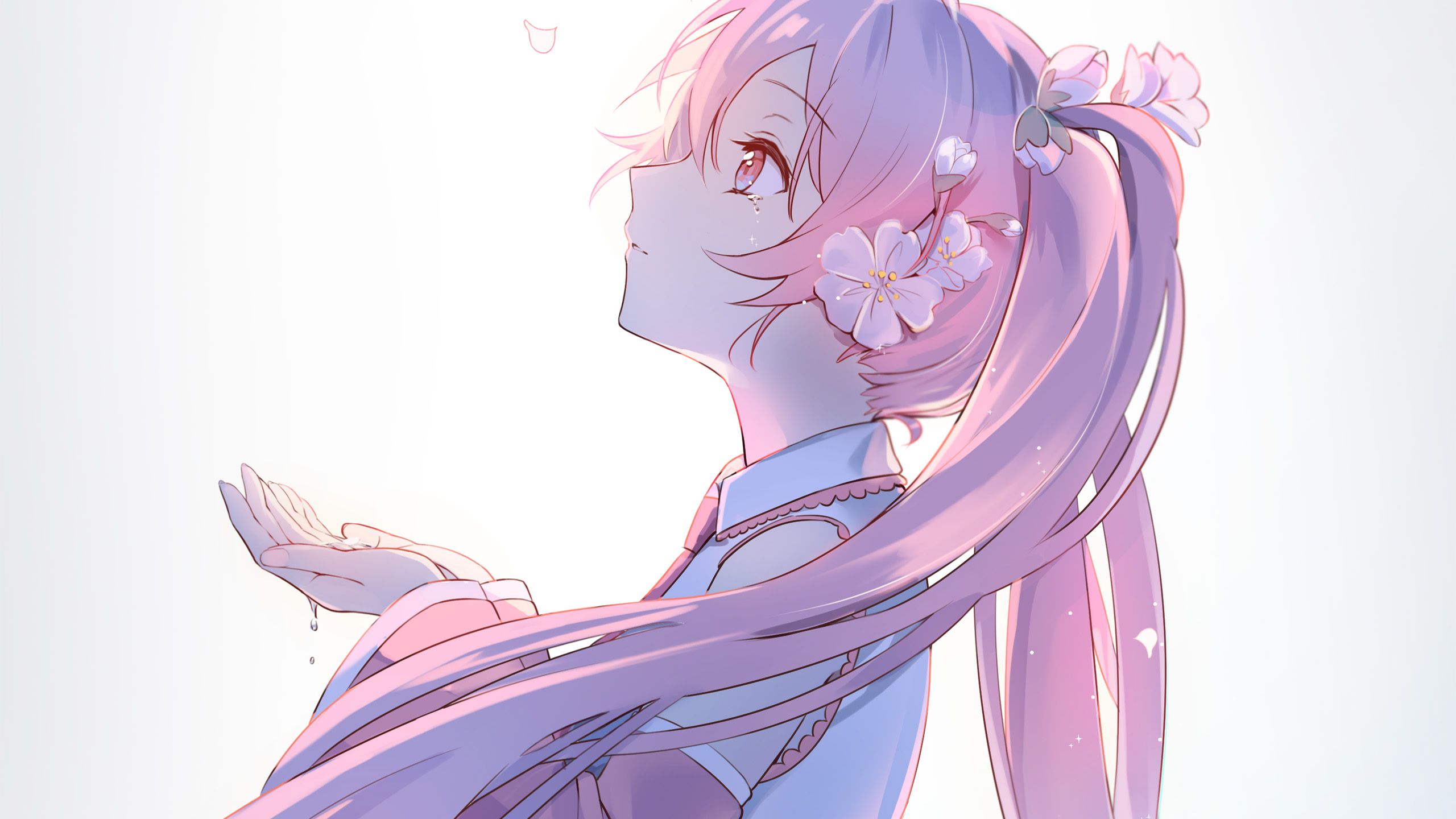 2560x1440 Pink Hair Flowers Hatsune Miku Anime Girl Standing White Background HD Anime Girl Wallpaper