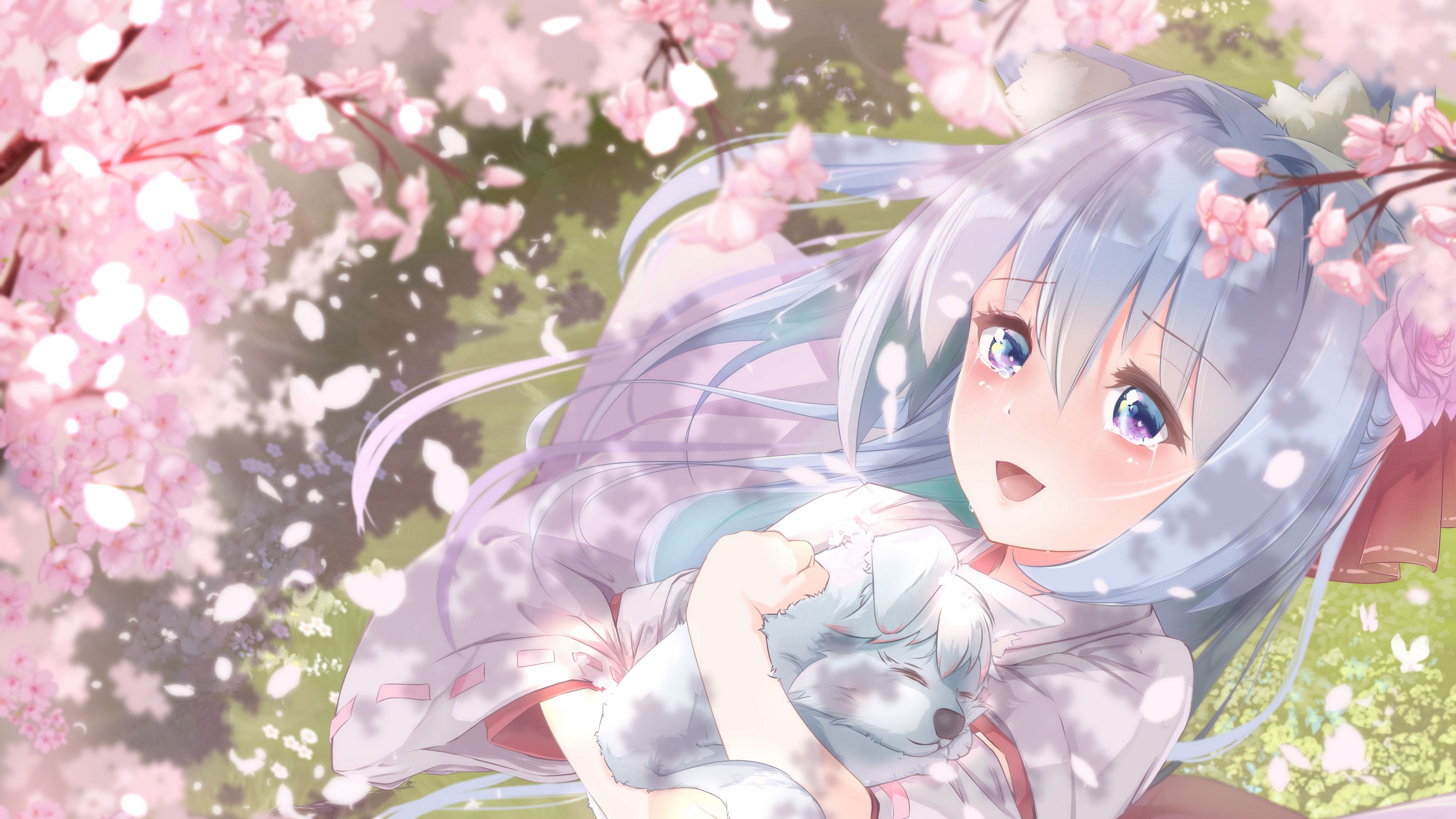 3840x2160 White Hair Purple Eyes Anime Girl Neko Ears Pink Blossom Flowers Trees 4K HD Anime Girl Wallpaper