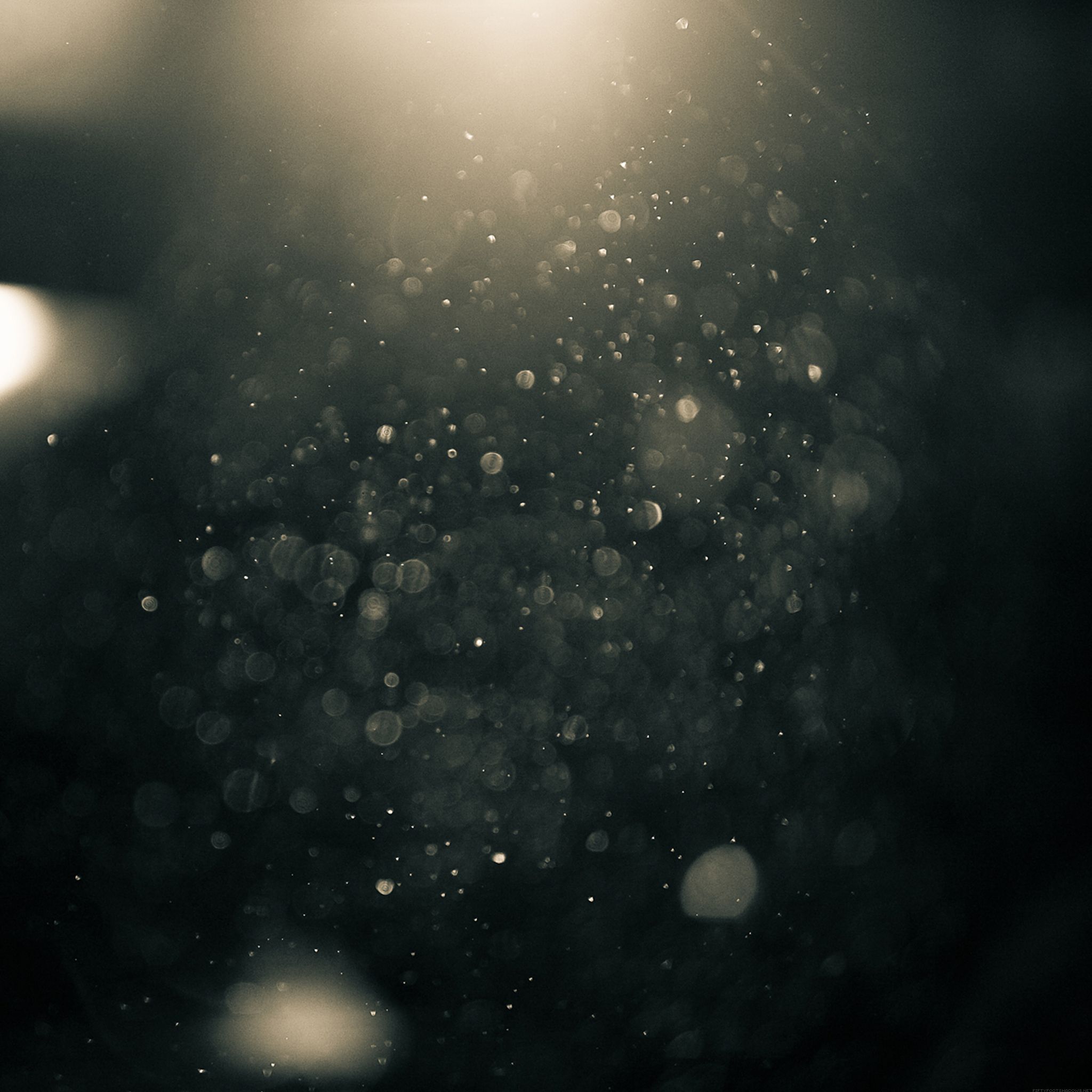 2048x2048 Gold Dust Wallpaper for iPhone Pro Max, X, 6