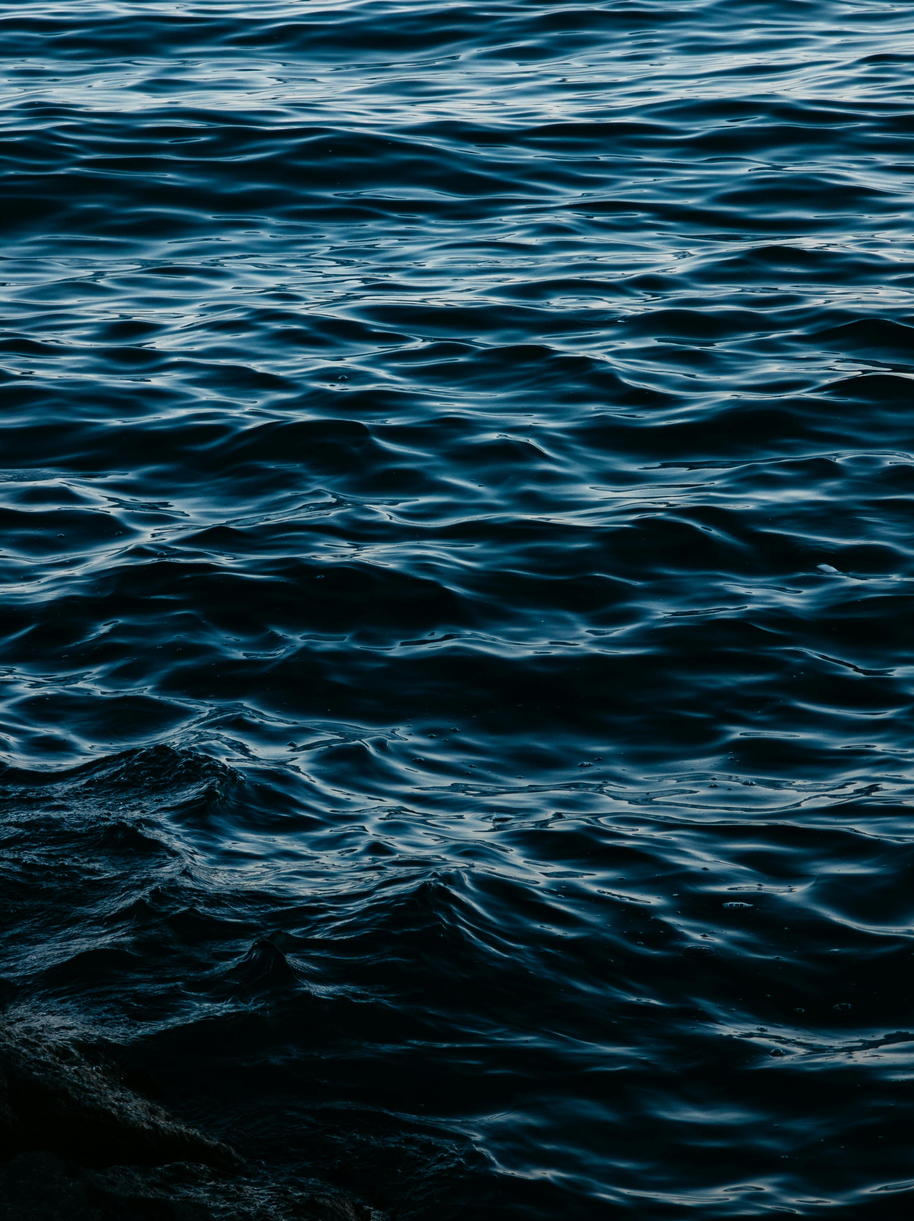 3000x4005 Deep blue water creates gentle waves. photo