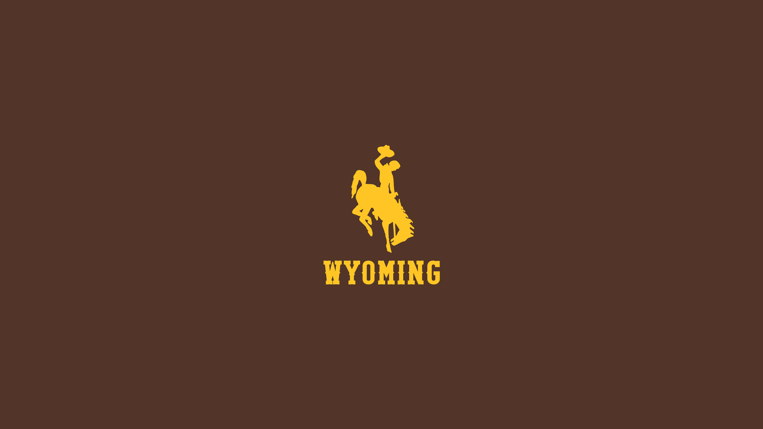 2560x1440 Wyoming Cowboys. Stephen Clark (sgclark.com)