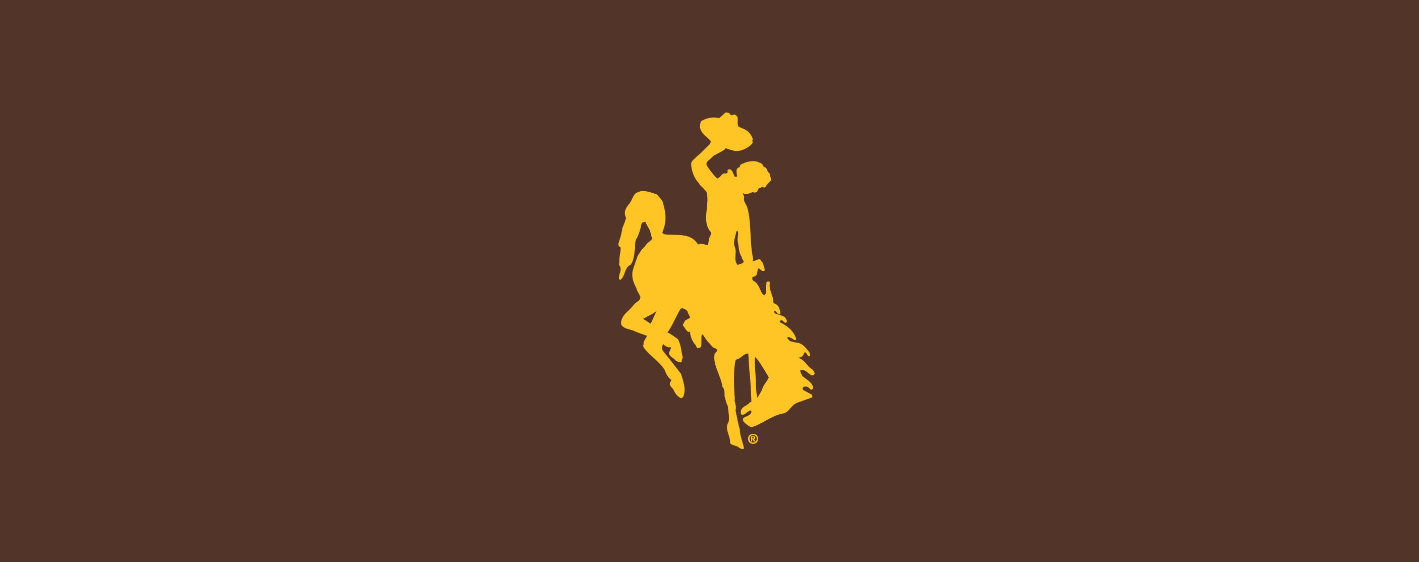 2813x1114 Wyoming Cowboys