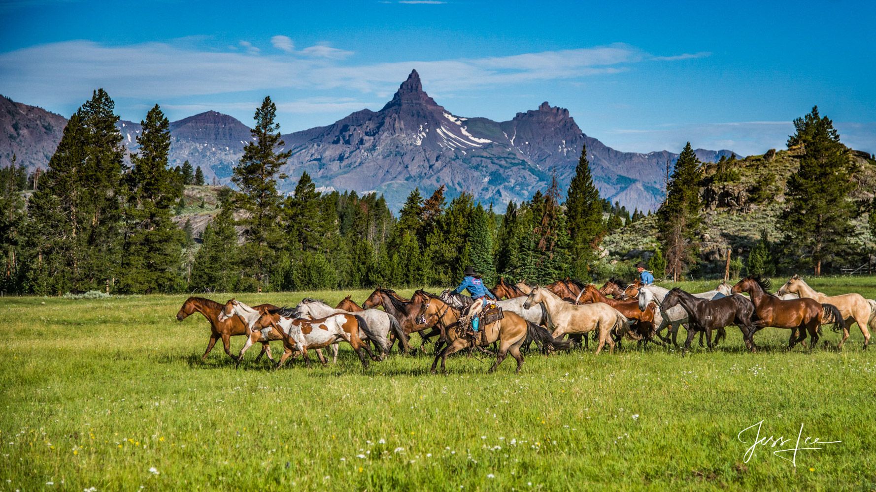 1778x1000 Pilot Peak Horse Herd. Wyoming. USA. Fine Art Photography