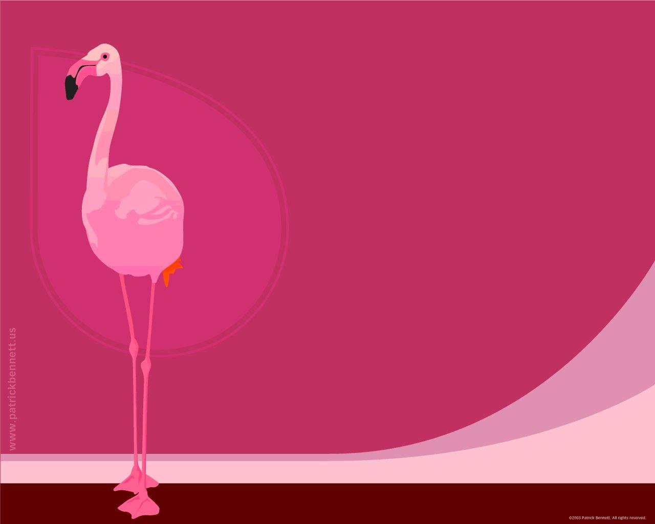 1280x1024 Flamingo wallpaper 1280x1024 desktop background