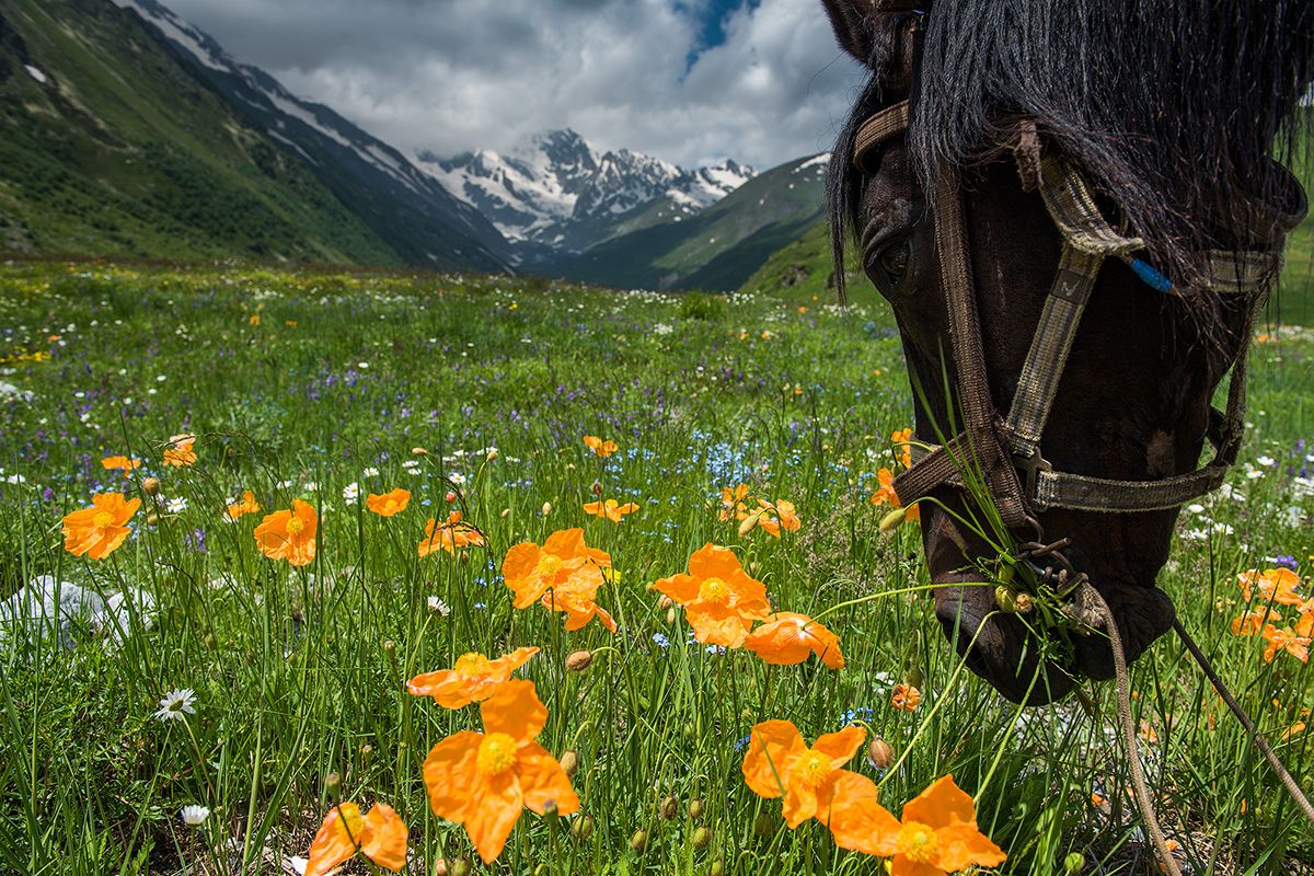1200x800 The Postcard Perfect Beauty Of Mountainous Ossetia