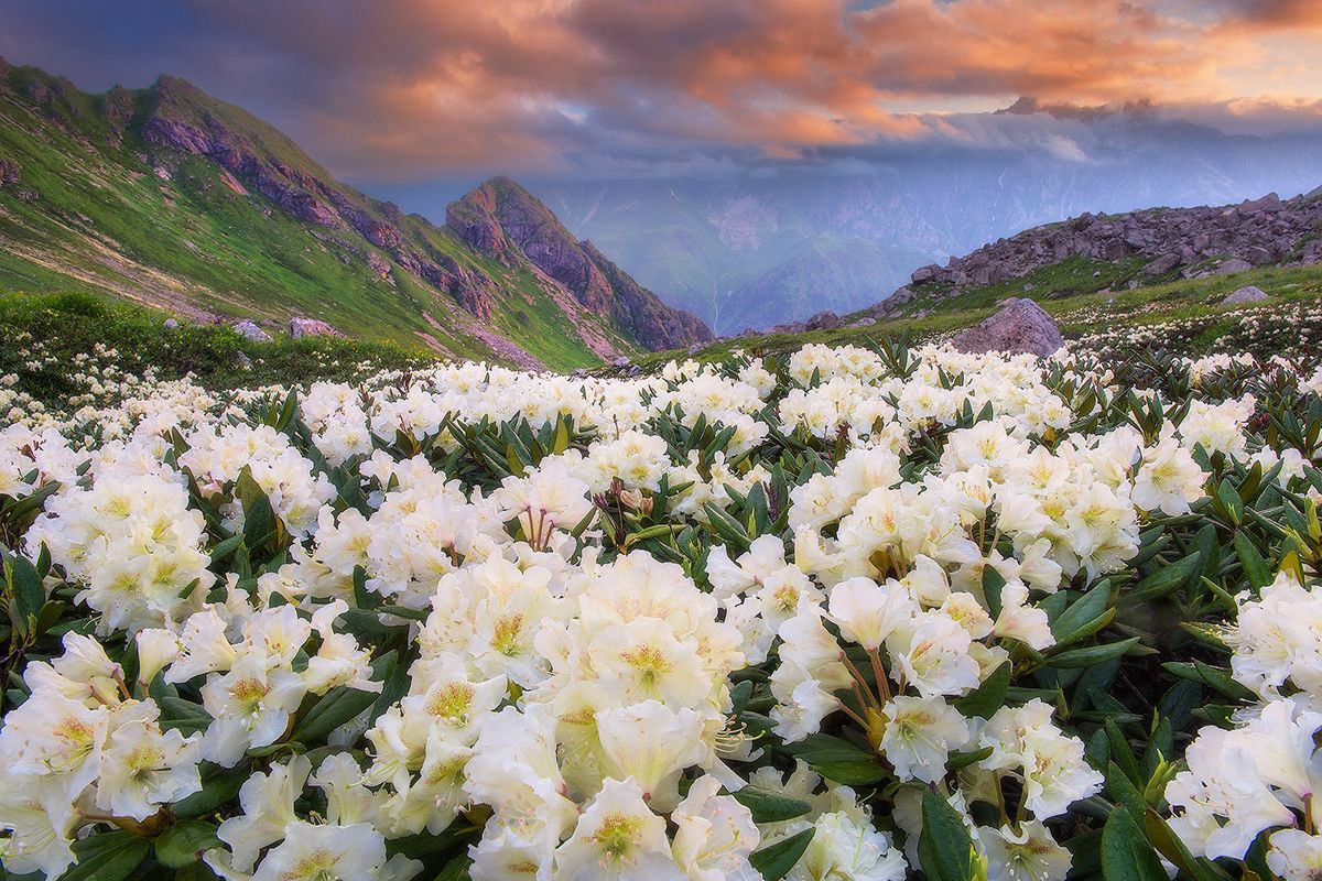 1200x800 The Postcard Perfect Beauty Of Mountainous Ossetia