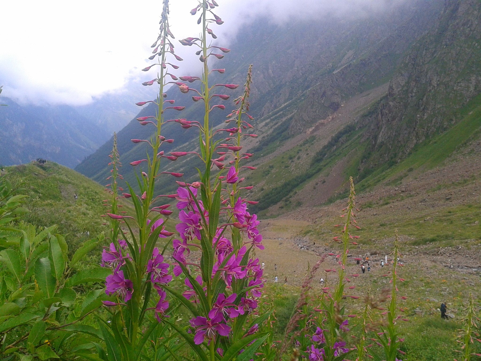 2048x1536 North Ossetia Nature Reserve