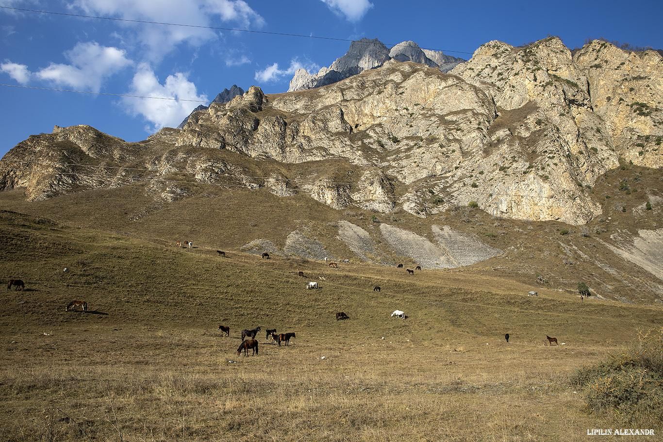 1366x911 Mountain Landscapes of the Republic of North Ossetia