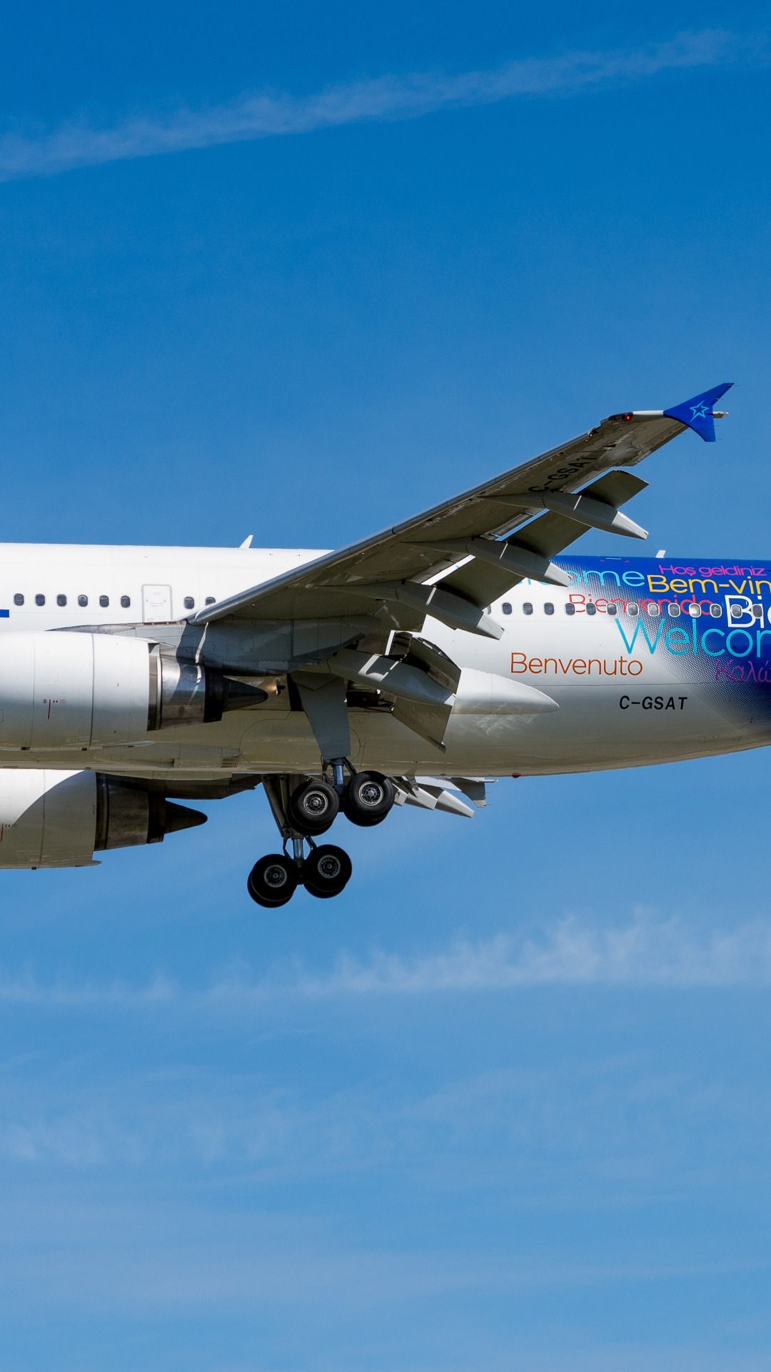 1080x1920 Airbus A310 Wallpaper