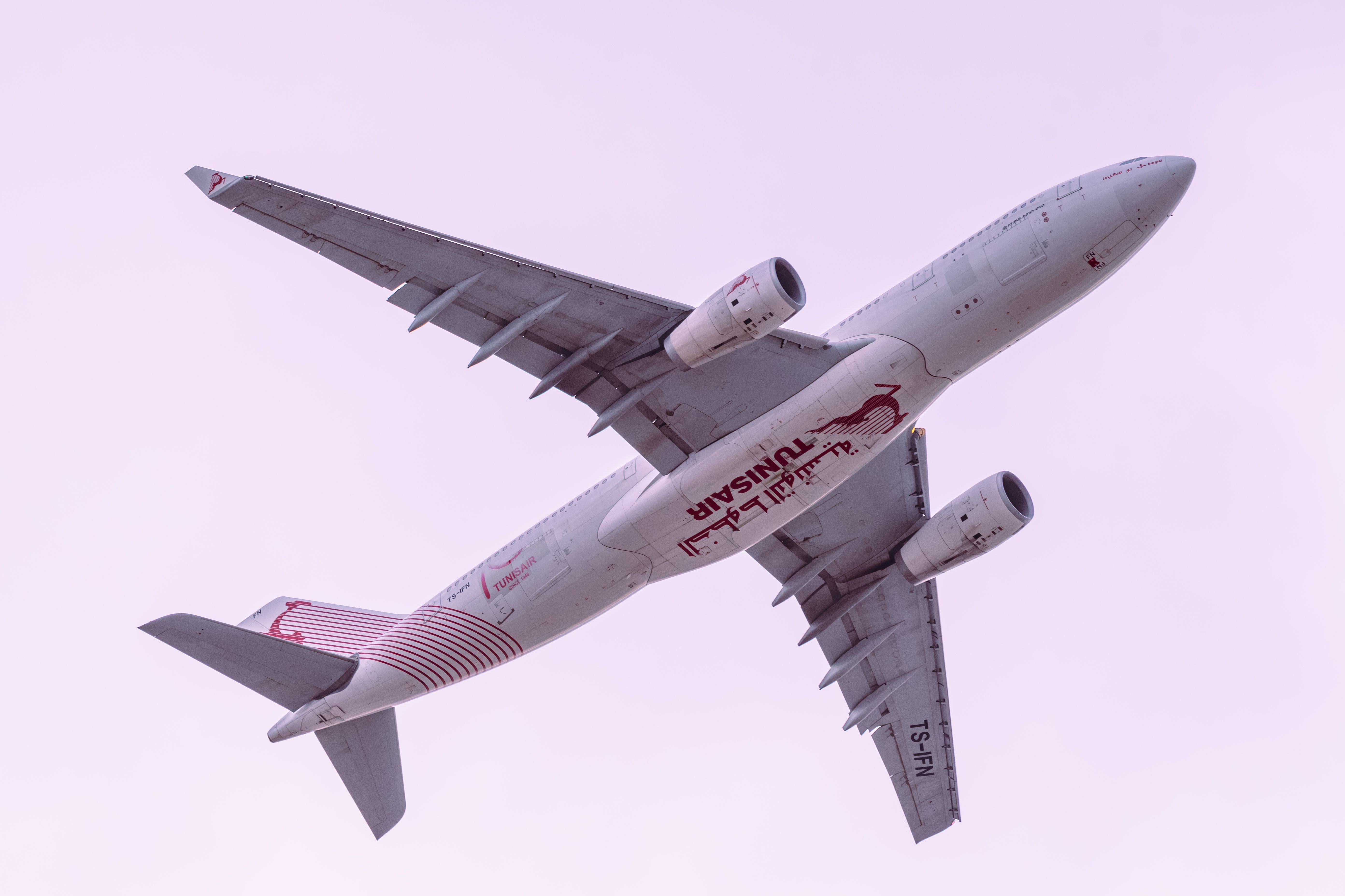 5568x3712 Airbus 310 Photo, Download The BEST Free Airbus 310 & HD Image