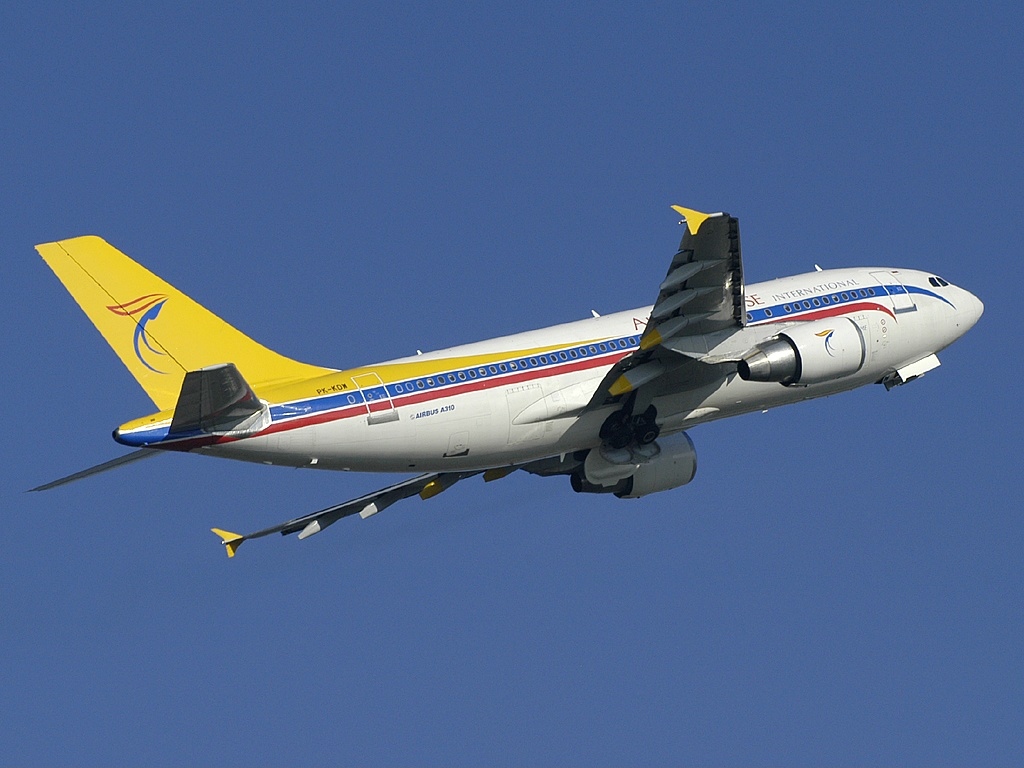 1024x768 Airbus A310- Air Paradise International