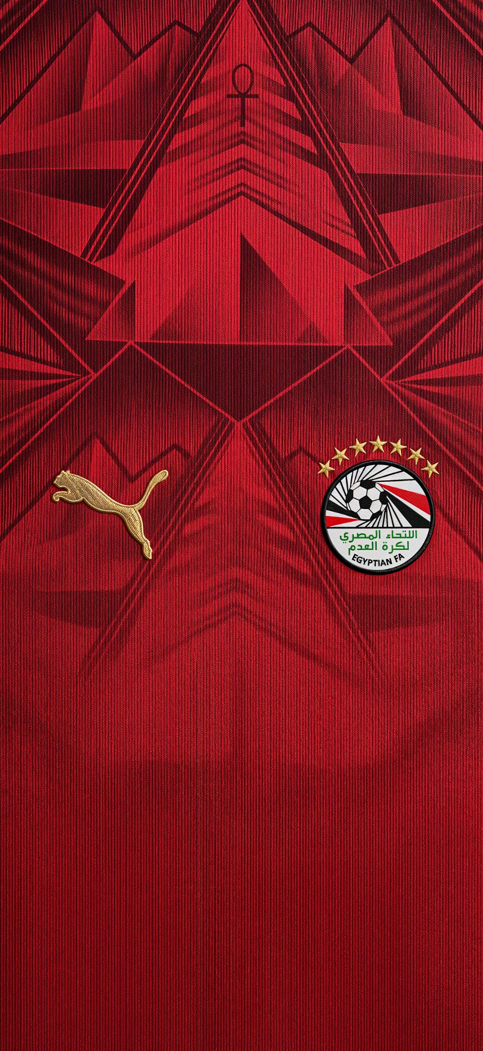 942x2048 Egypt Jersey World Cup 2026 Phone Wallpaper