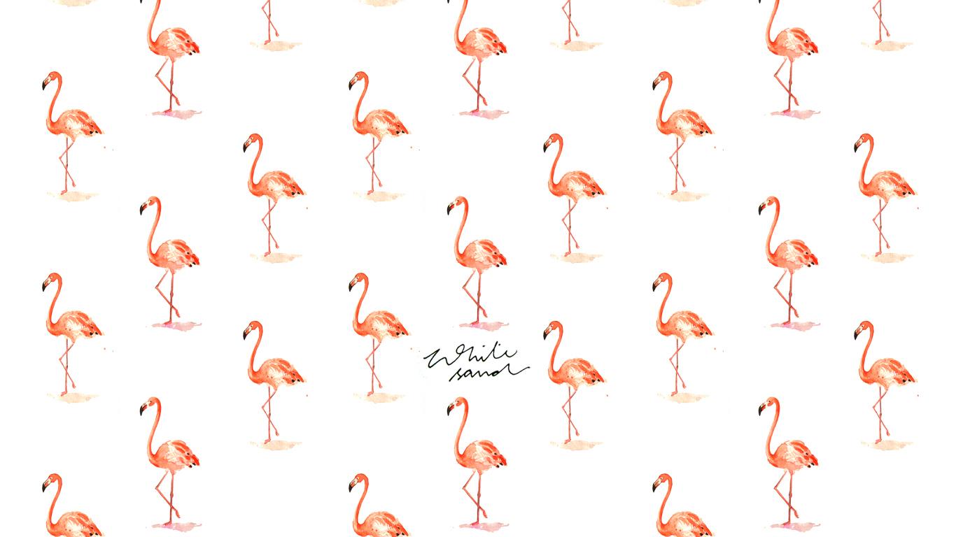 1366x768 Free Pink Flamingo Computer Wallpaper 1366x768 px, QL31CA
