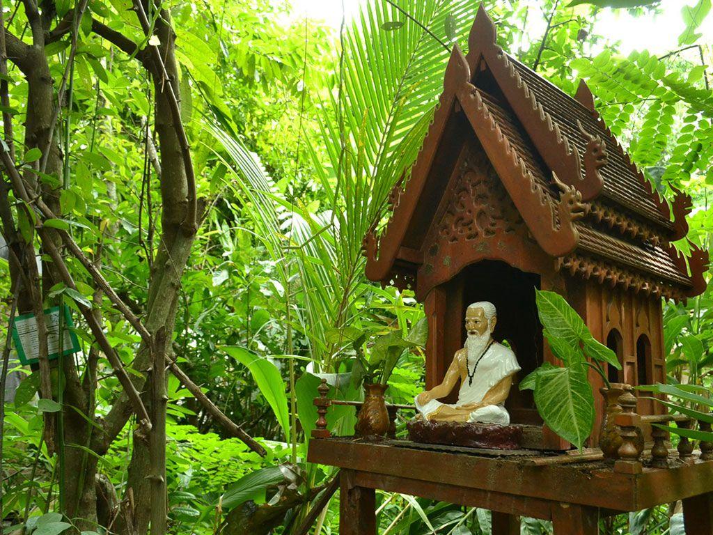 1024x768 Looking For Herbal In Herbalife Growth Forest, Download