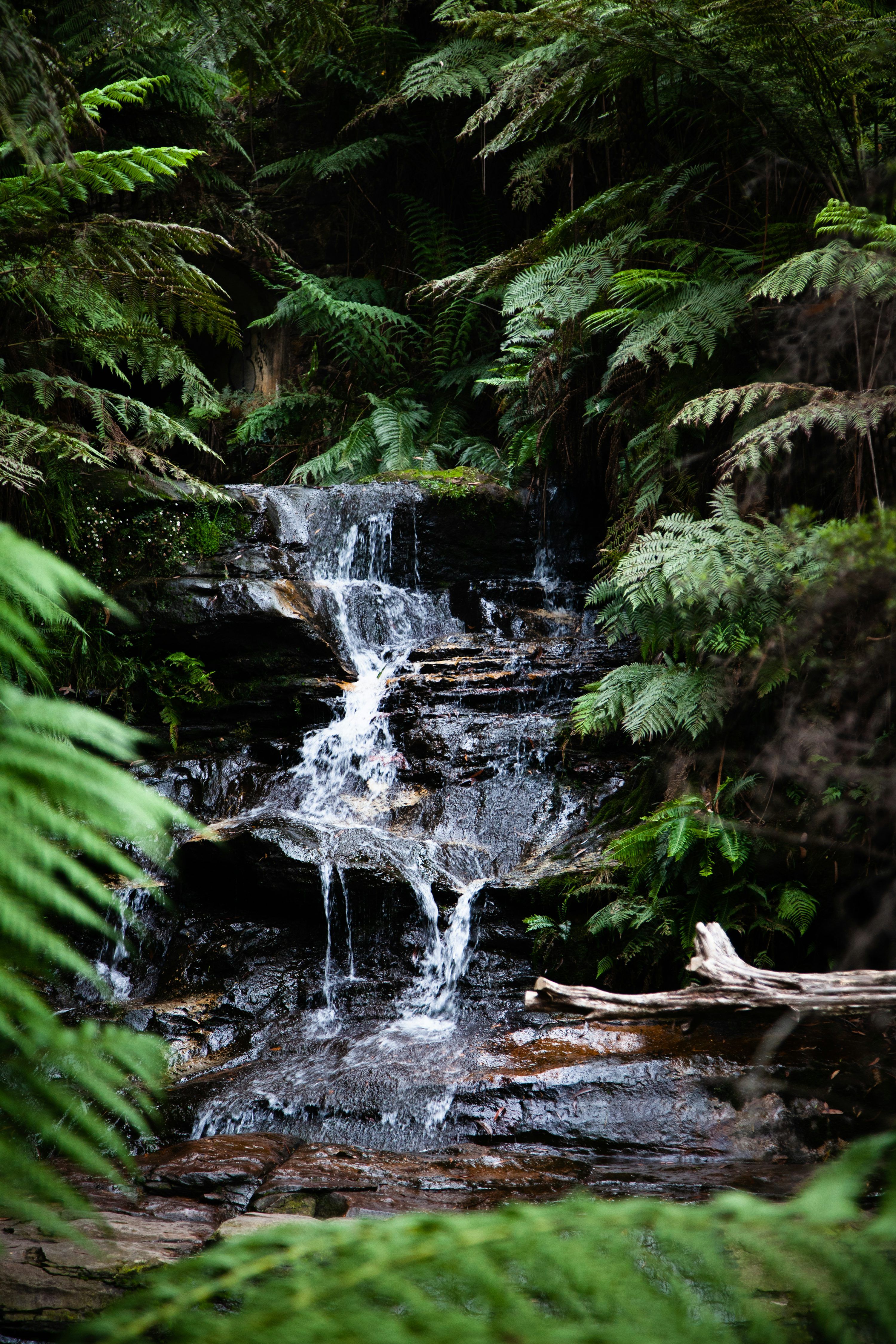 3000x4500 Waterfall Stream Picture. Download Free Image