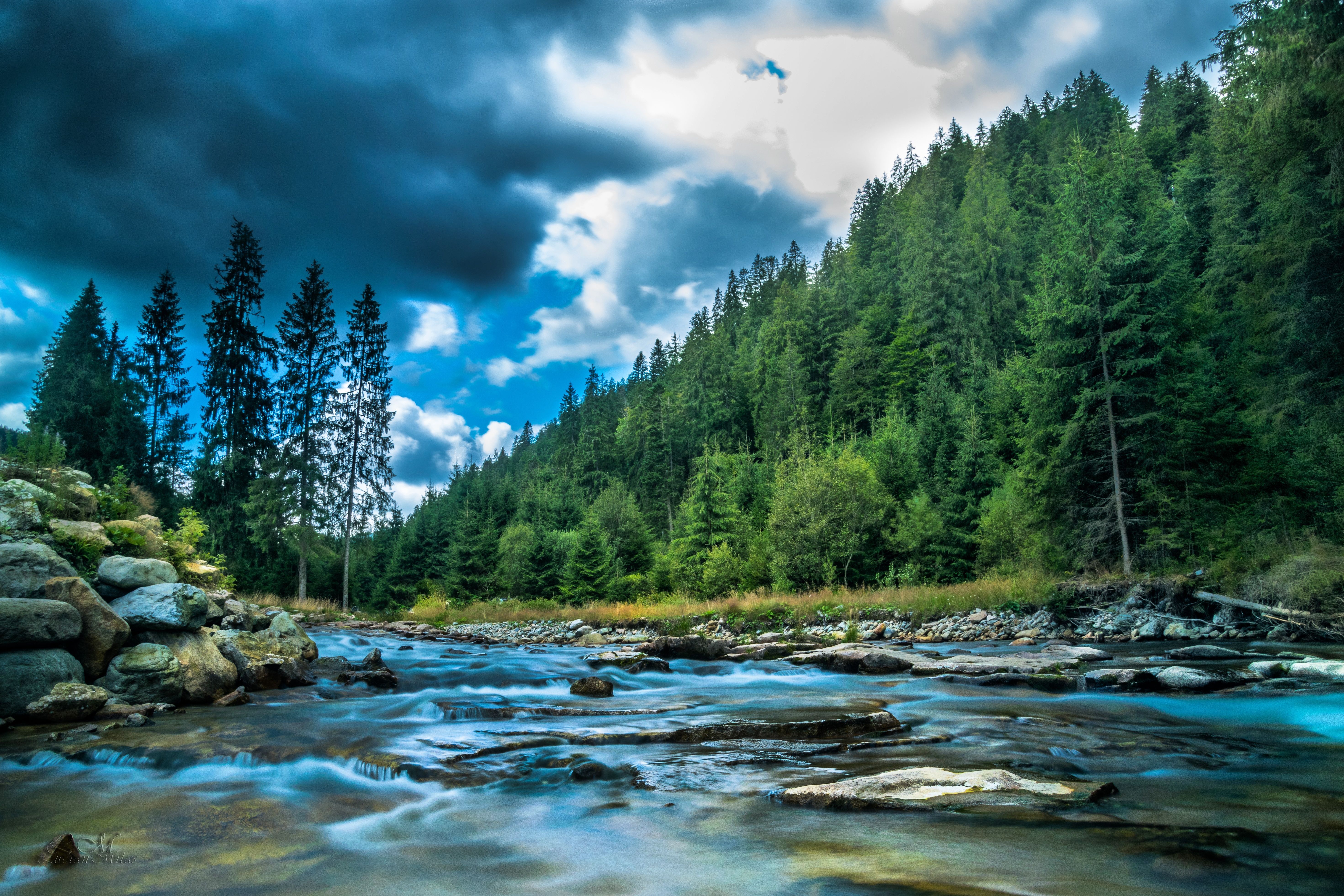 5883x3922 Body of Water Surrounded by Green T · Free