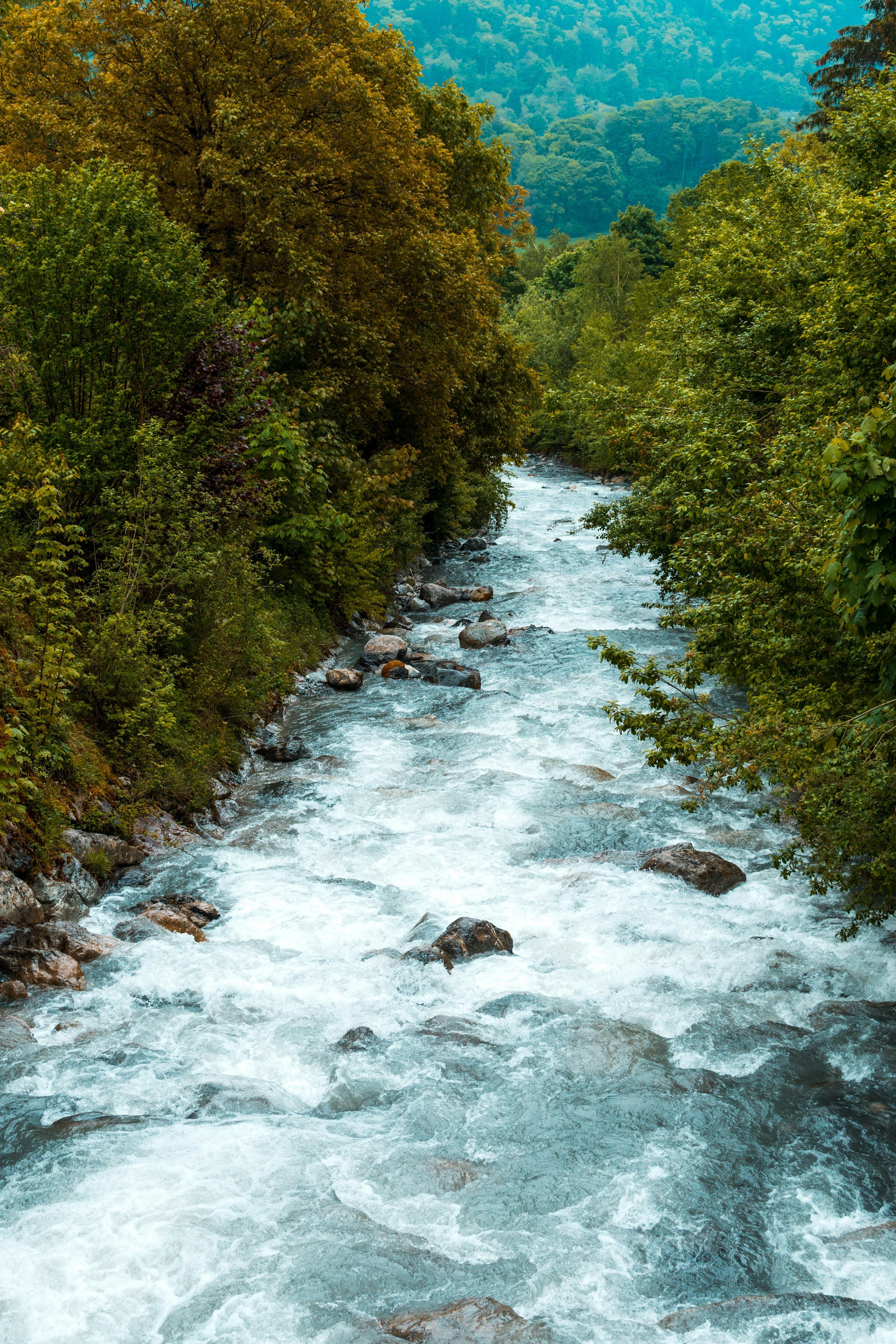 3000x4500 A rushing river flows through green trees. photo