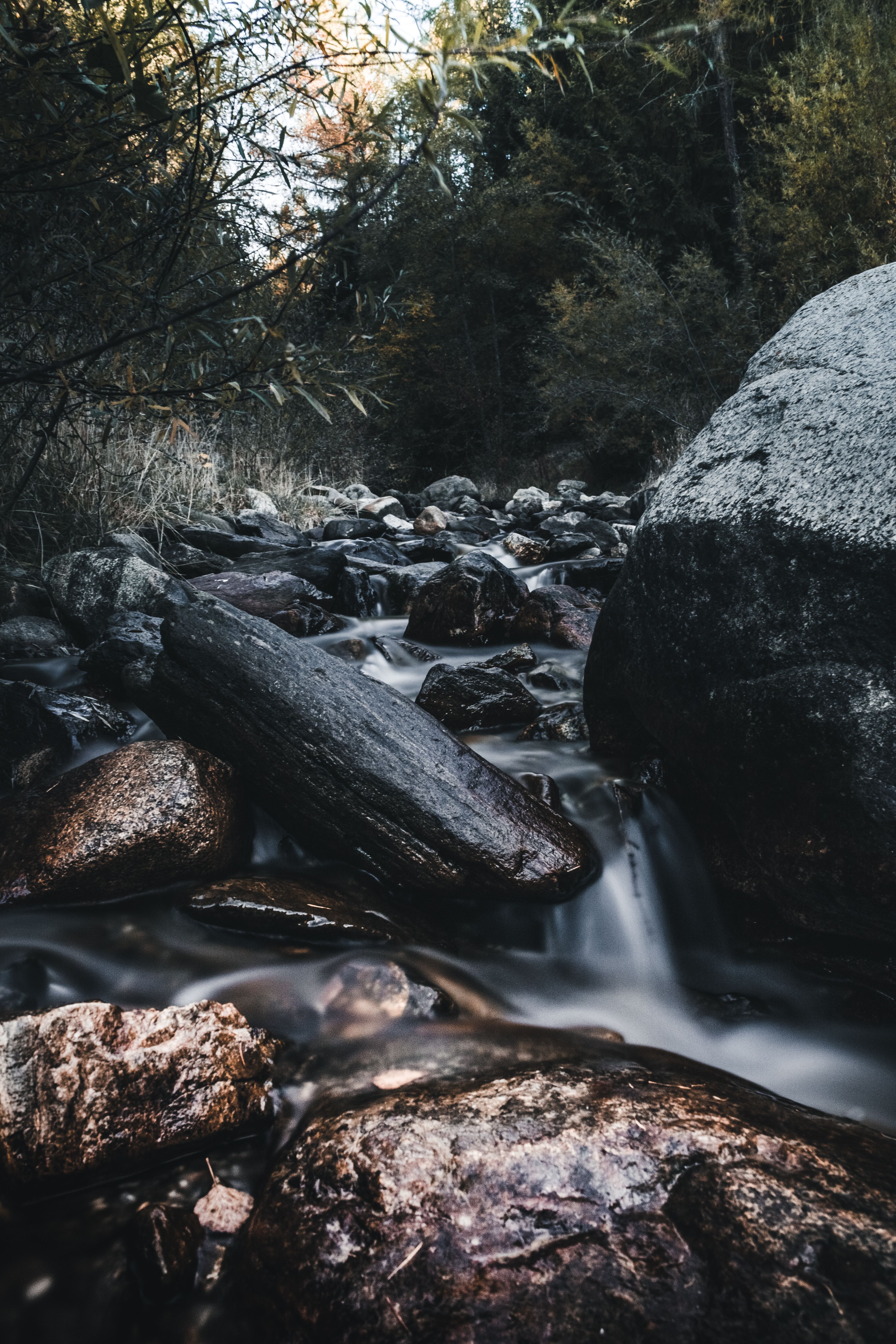 3648x5472 Water Stream Photo, Download The BEST Free Water Stream & HD Image