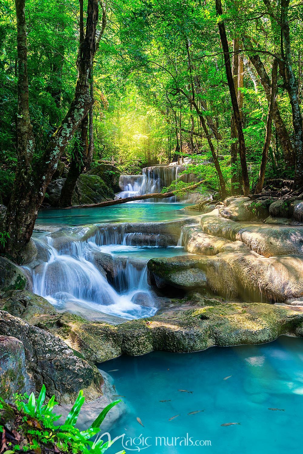 1000x1498 Tropical Blue Waterfalls