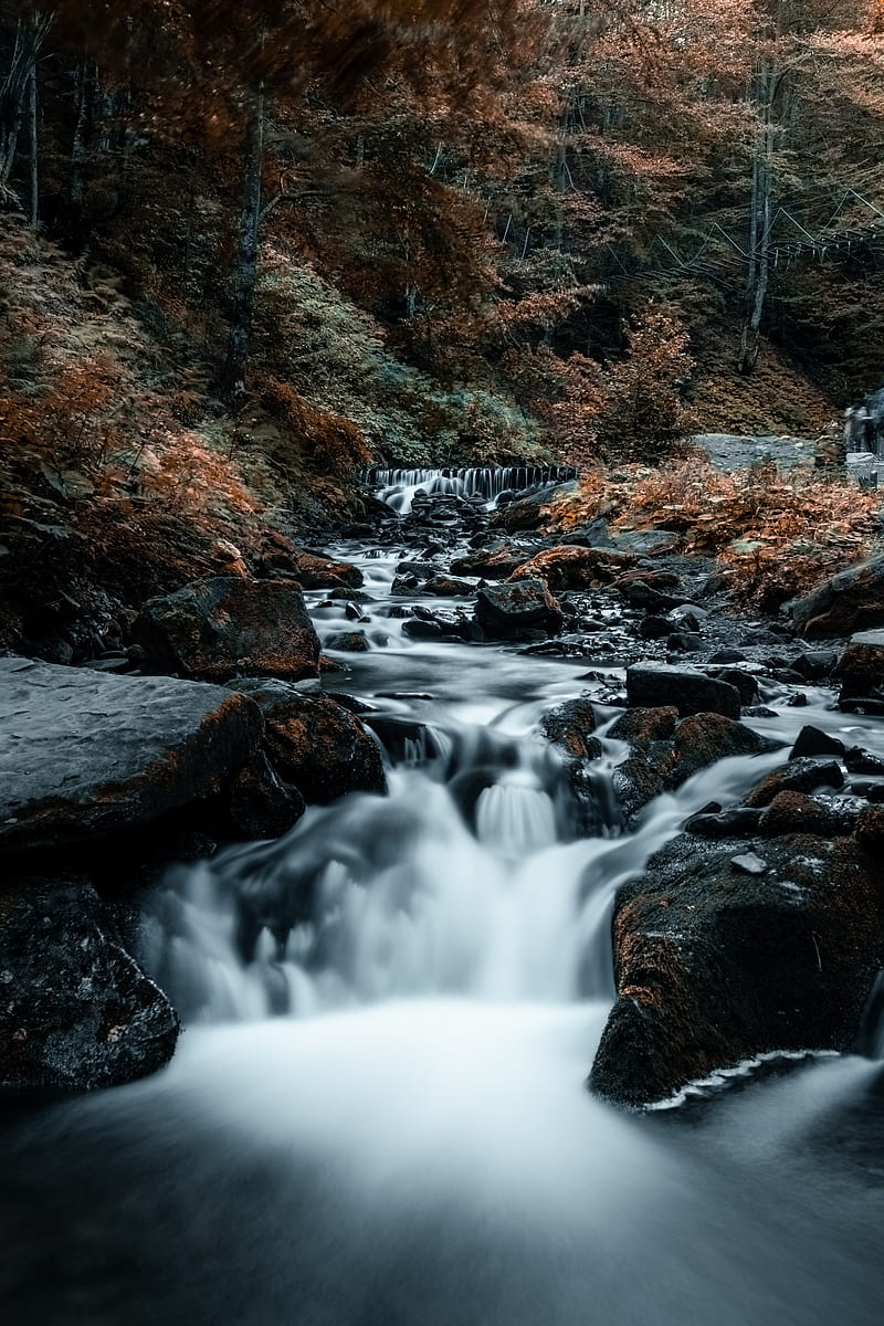 800x1200 Waterfall, stones, rocks, stream, trees, HD phone wallpaper