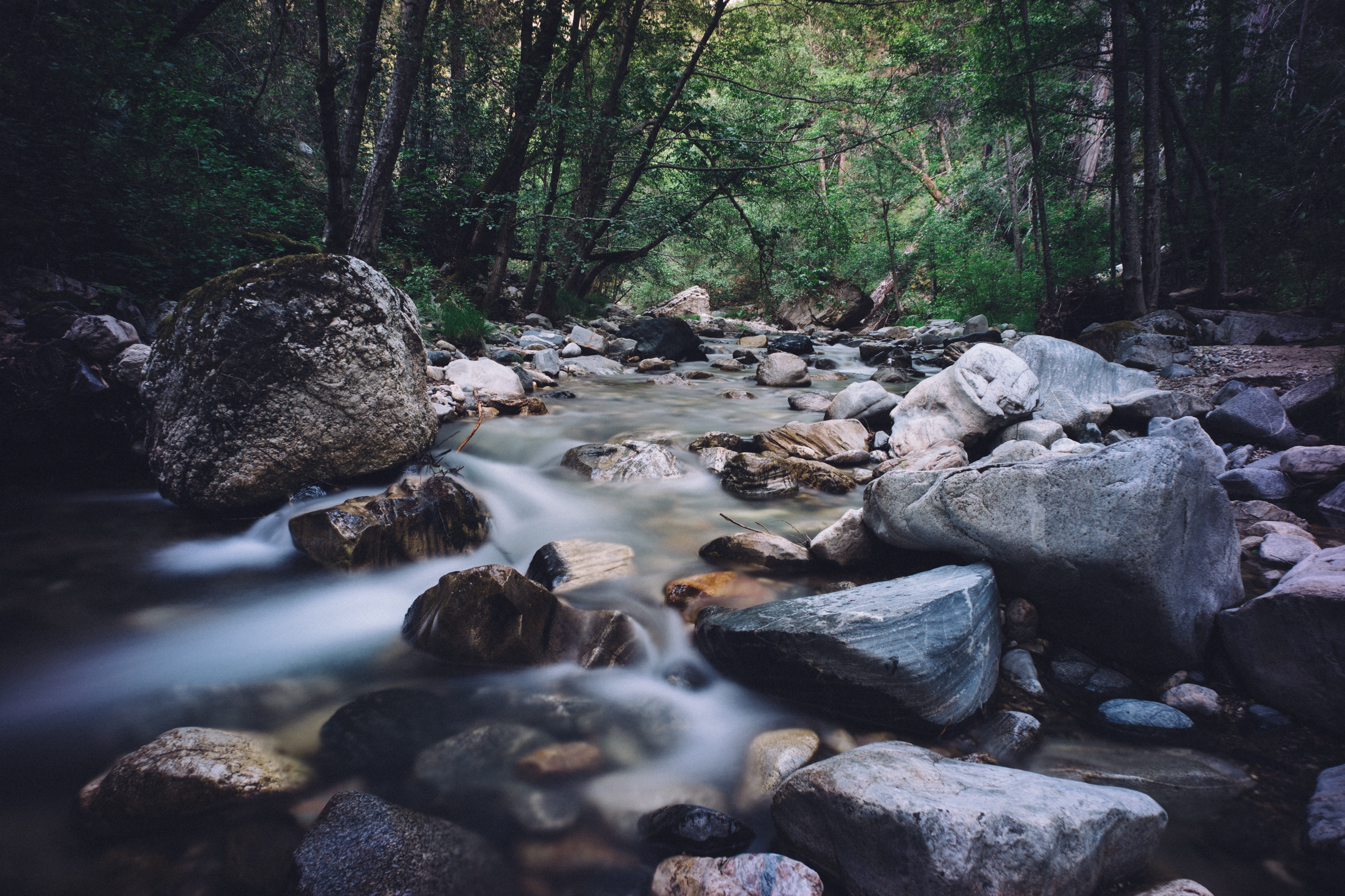 6000x4000 Royalty Free Photo: Stream With Stones In Middle Of Forest