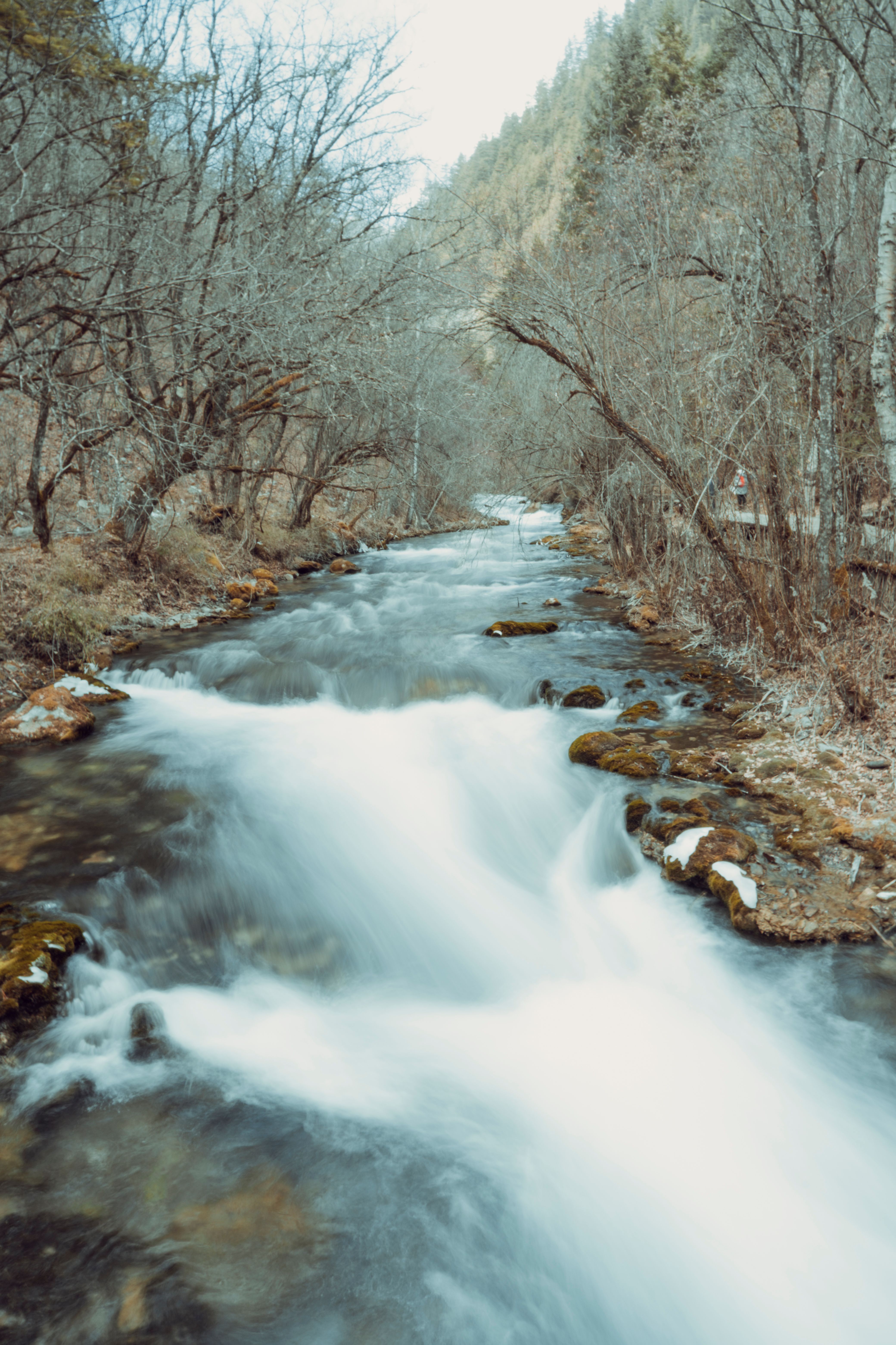 4160x6240 Stream Of Water Photo, Download The BEST Free Stream Of Water & HD Image