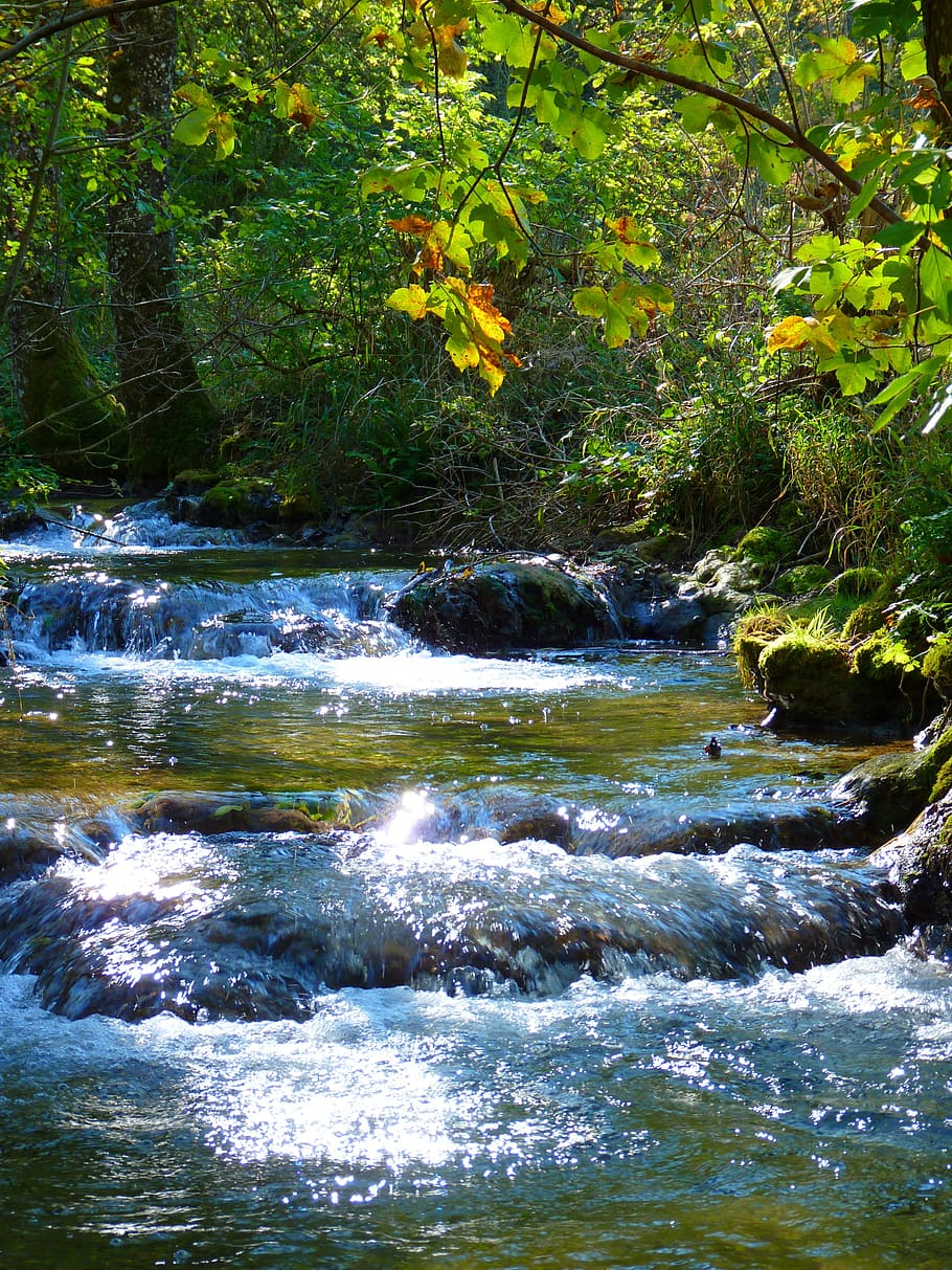 910x1213 HD wallpaper: landscape photo of flowing water river, bach, creek, idyll, nature