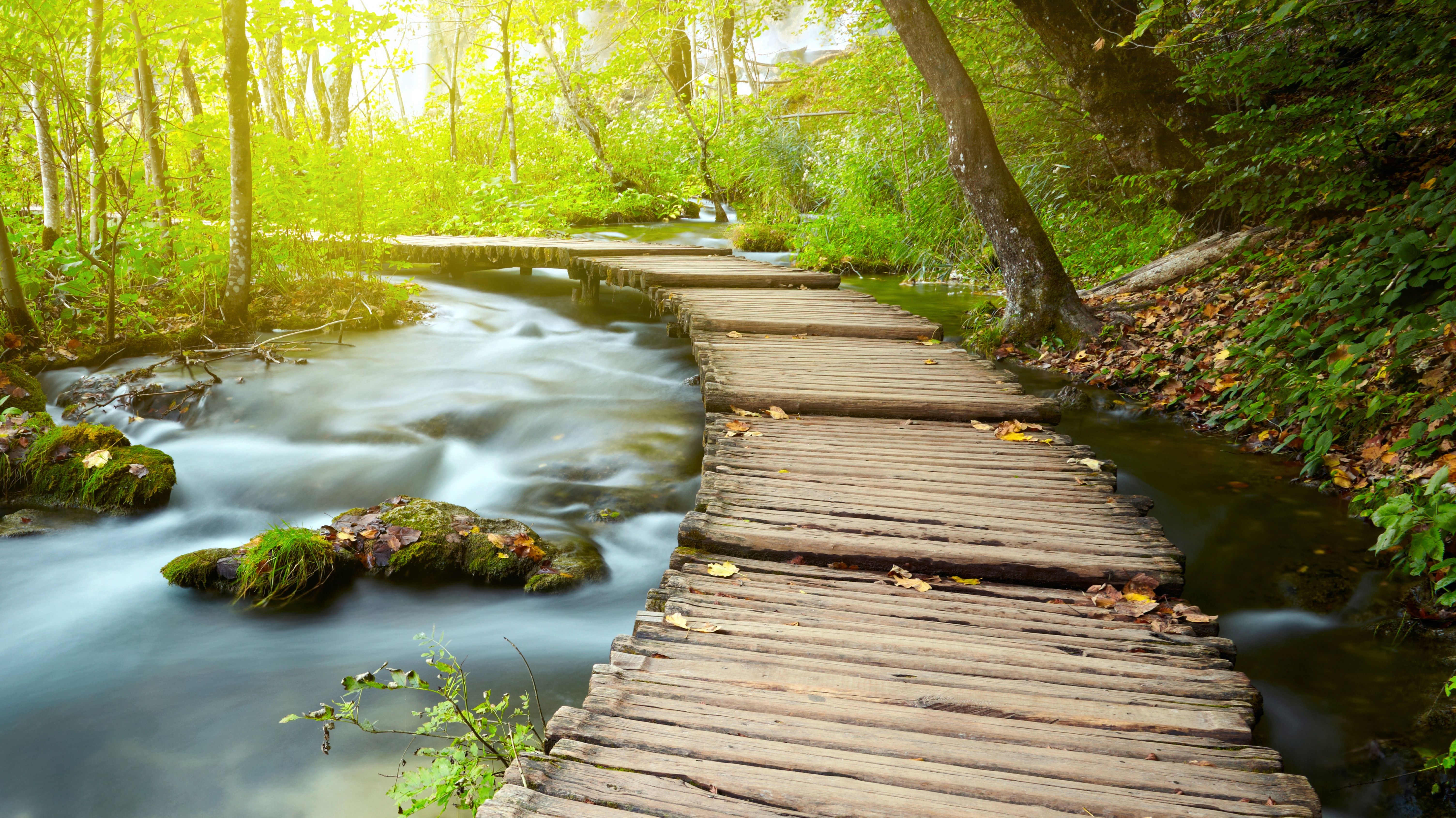 6016x3384 Wooden pier Wallpaper 4K, Forest, Green Trees, Water Stream
