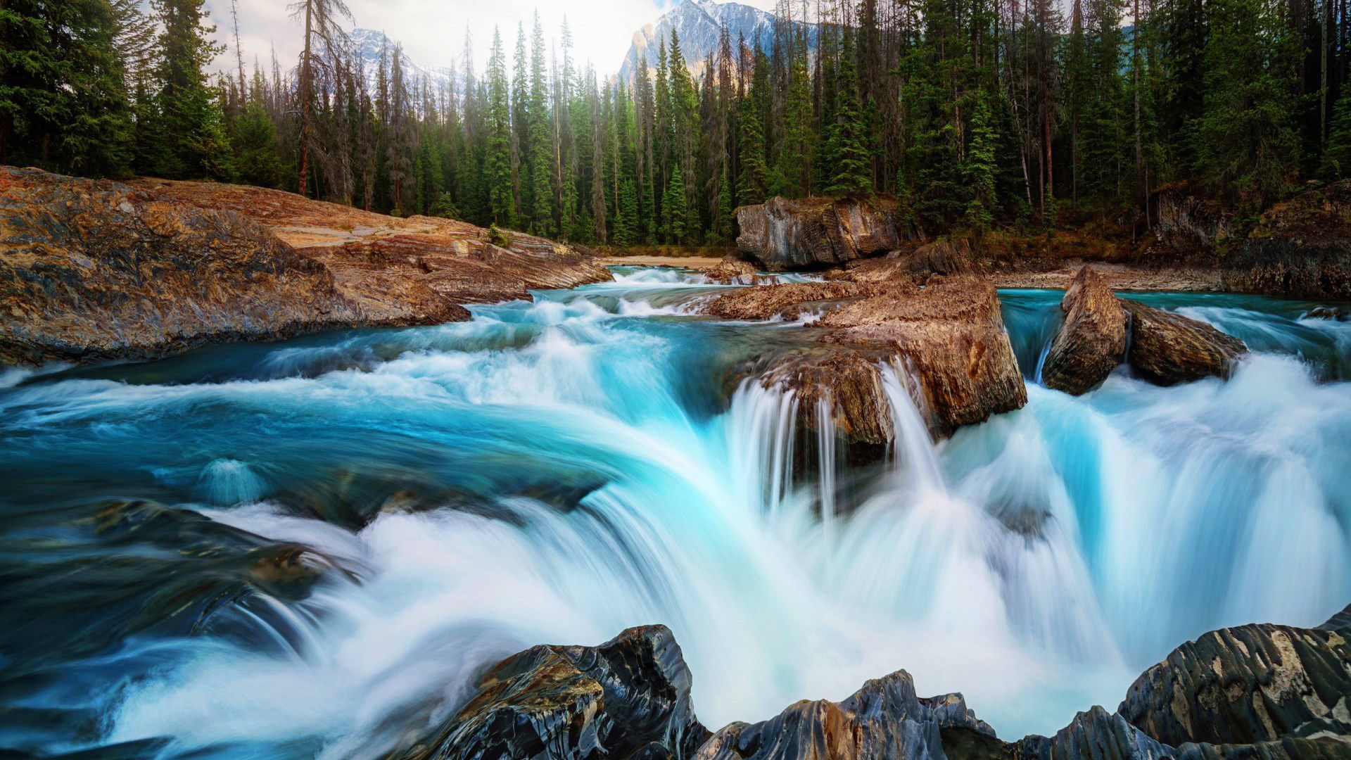 1920x1080 Water Stream On Rocks Trees Forest Mountains Background HD Nature Wallpaper