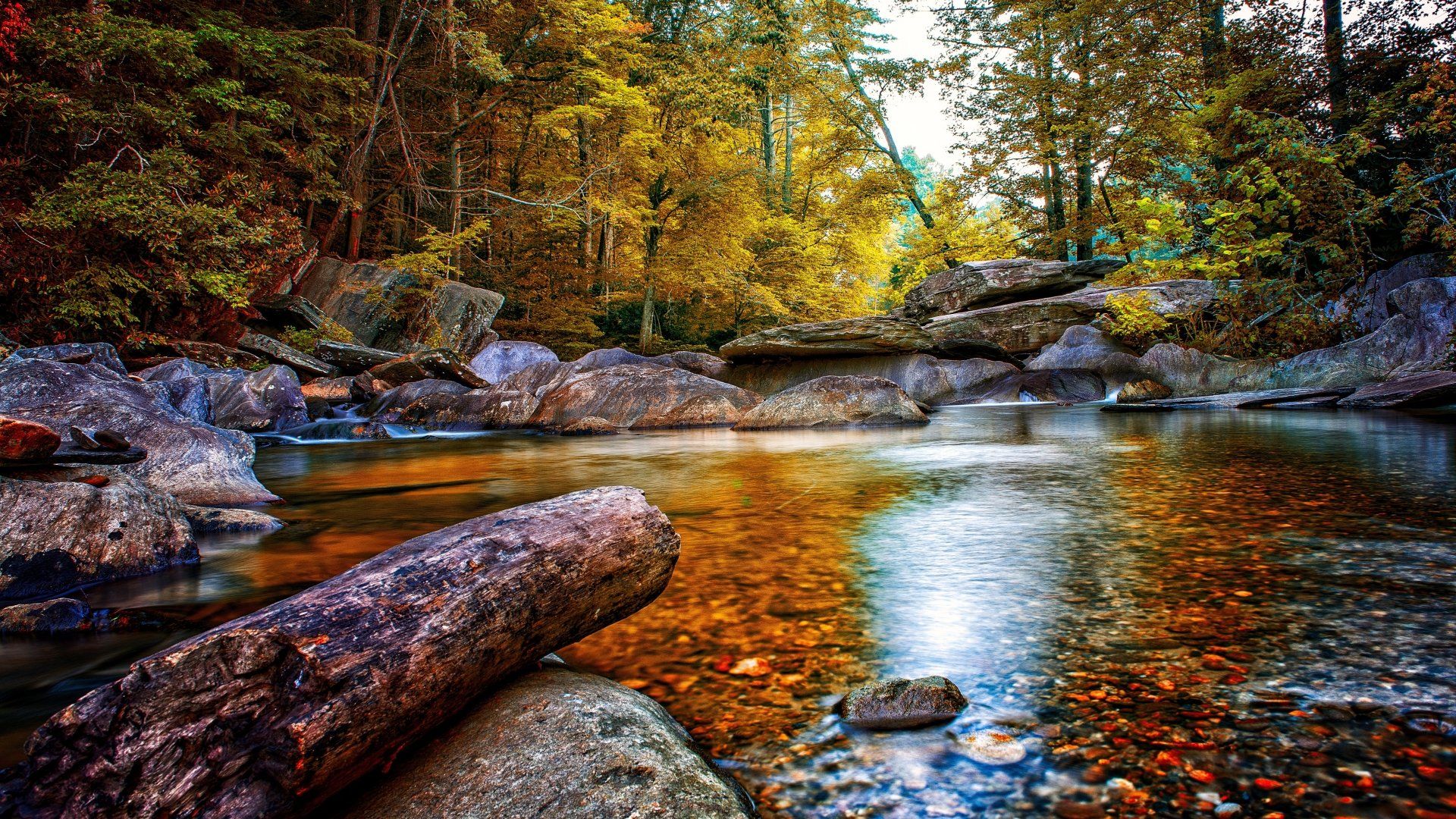 1920x1080 Download Forest Fall Nature Stream 4k Ultra HD Wallpaperx2585