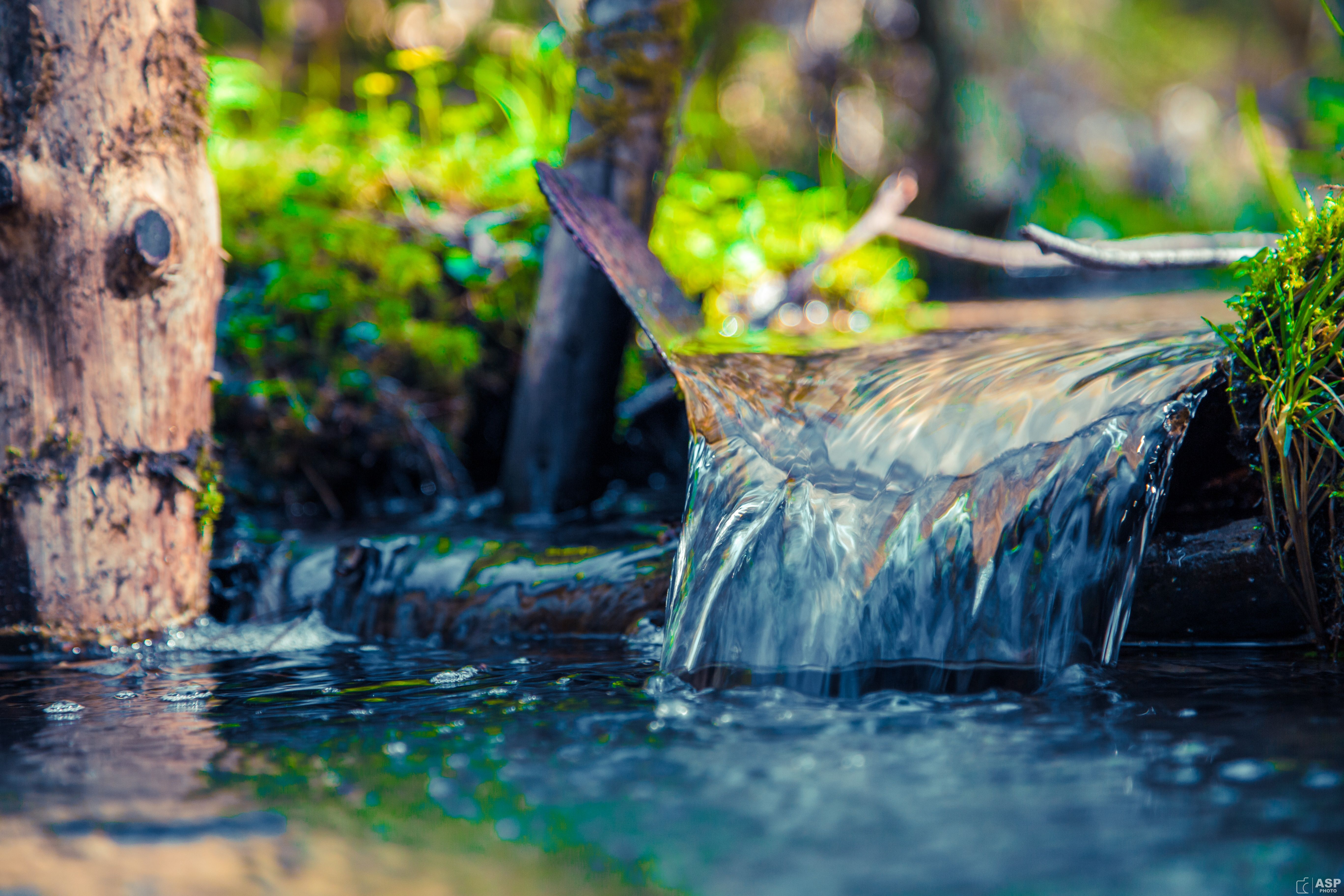 5472x3648 Wallpaper forest, grass, water, macro, landscape, nature, stream, for for mobile and desktop, section пейзажи, resolution 5472x3648