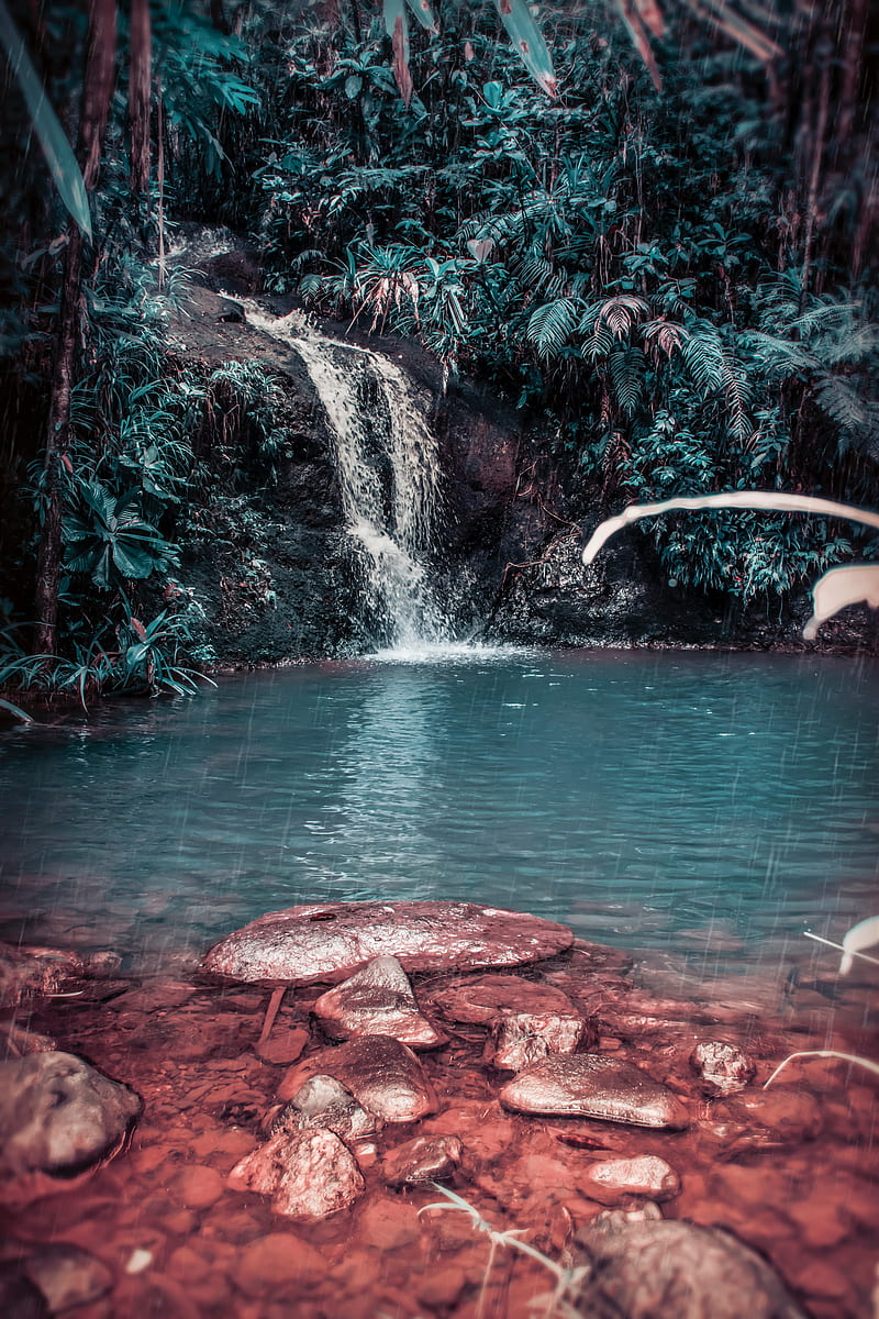 800x1200 Waterfall, stream, forest, jungle, tropical, spray, stones, HD phone wallpaper