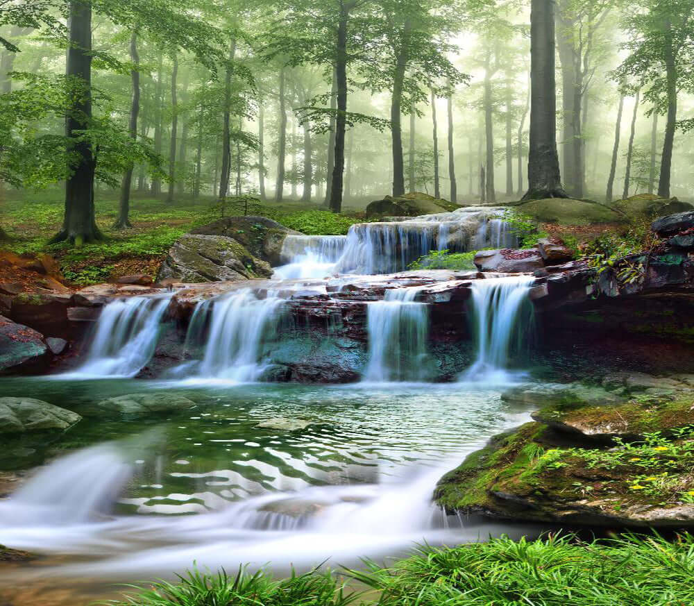 1000x873 forest stream wallpaper mural. Tranquil forest nature wall mural