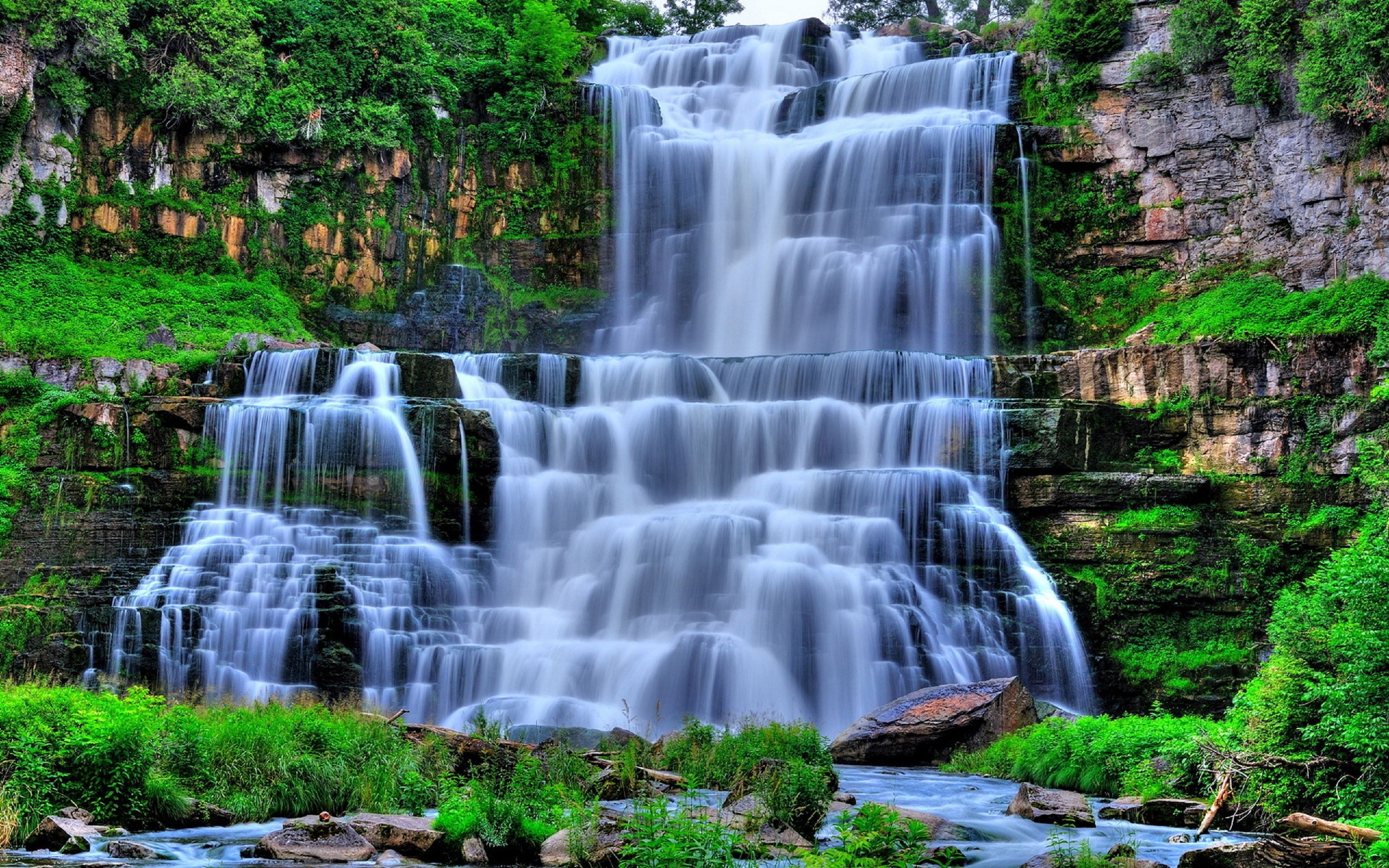 3840x2400 Wallpaper Water Falls in The Forest, Background Free Image