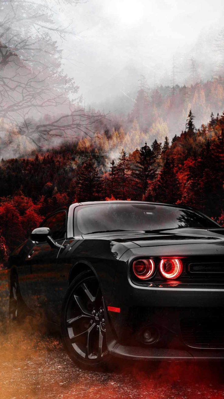 736x1308 Black Dodge Challenger IPhone Wallpaper Wallpaper : iPhone Wallpaper