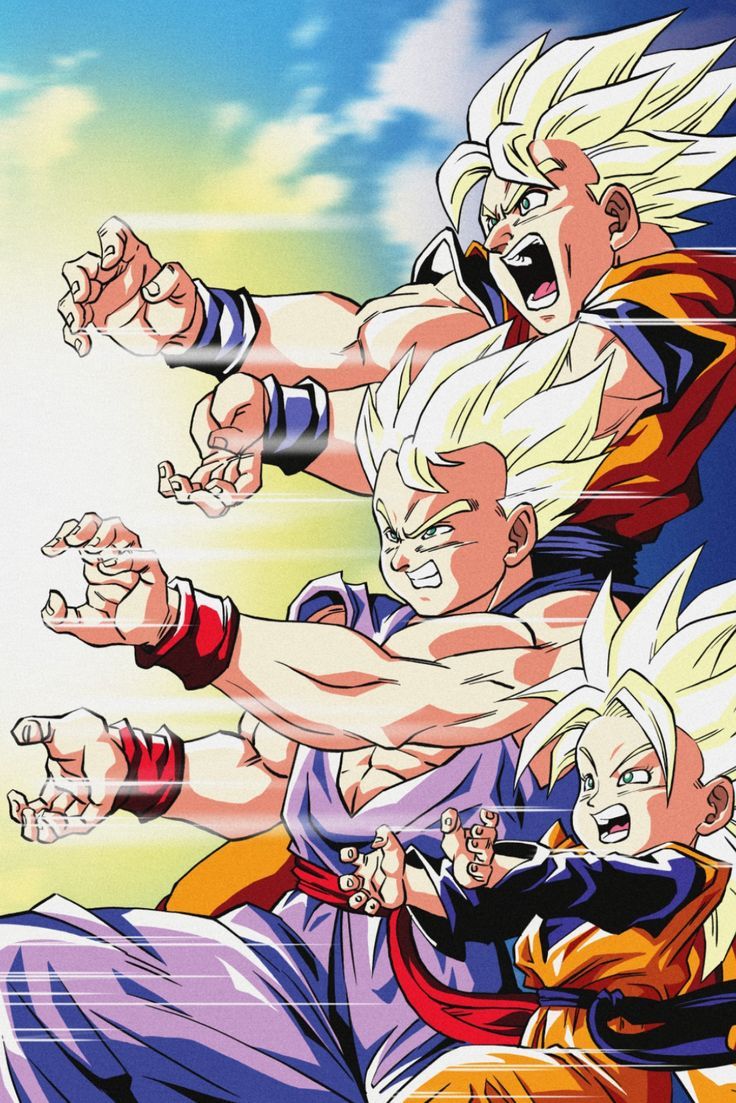 736x1103 Family Kamehameha Ball Family Portrait Illustration
