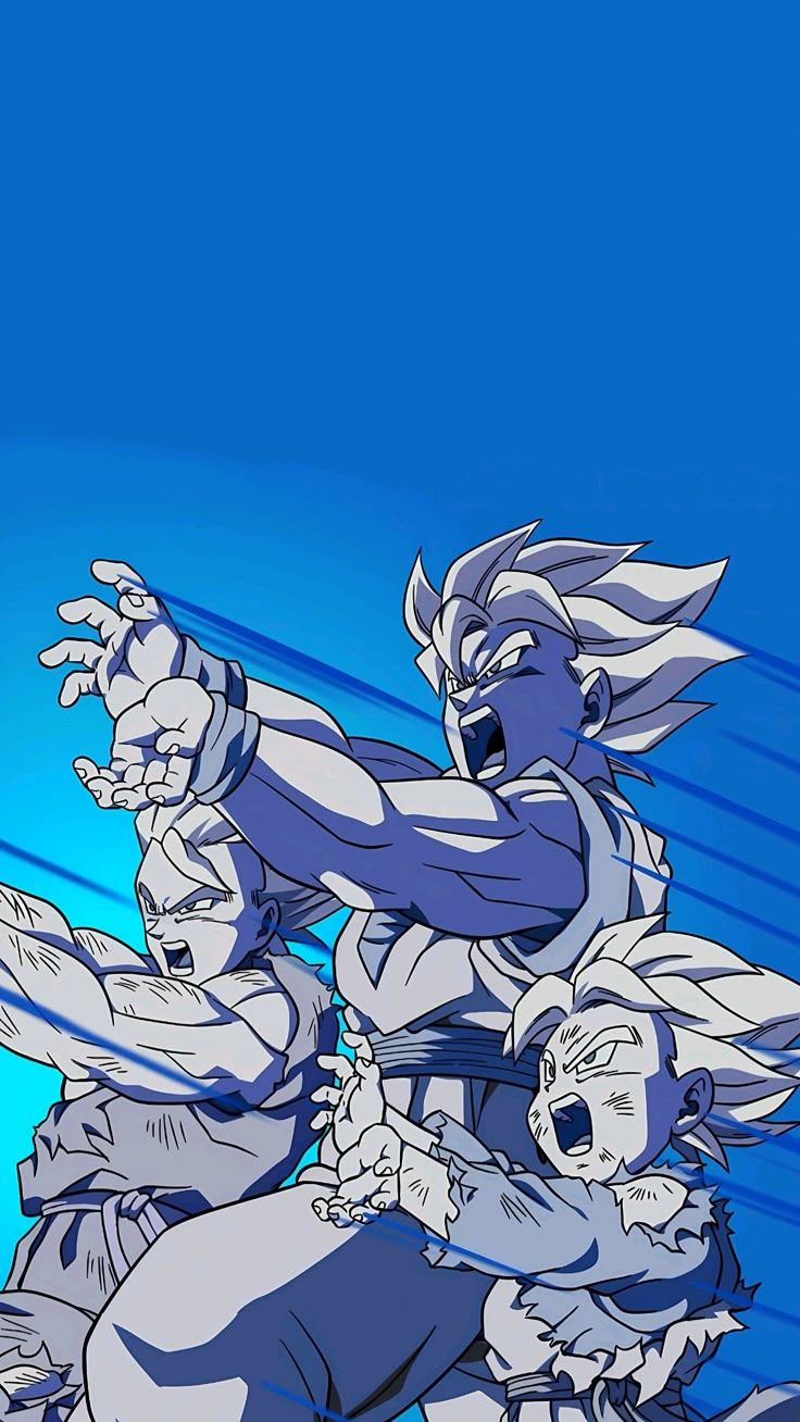 736x1308 dokkan Family kamehameha