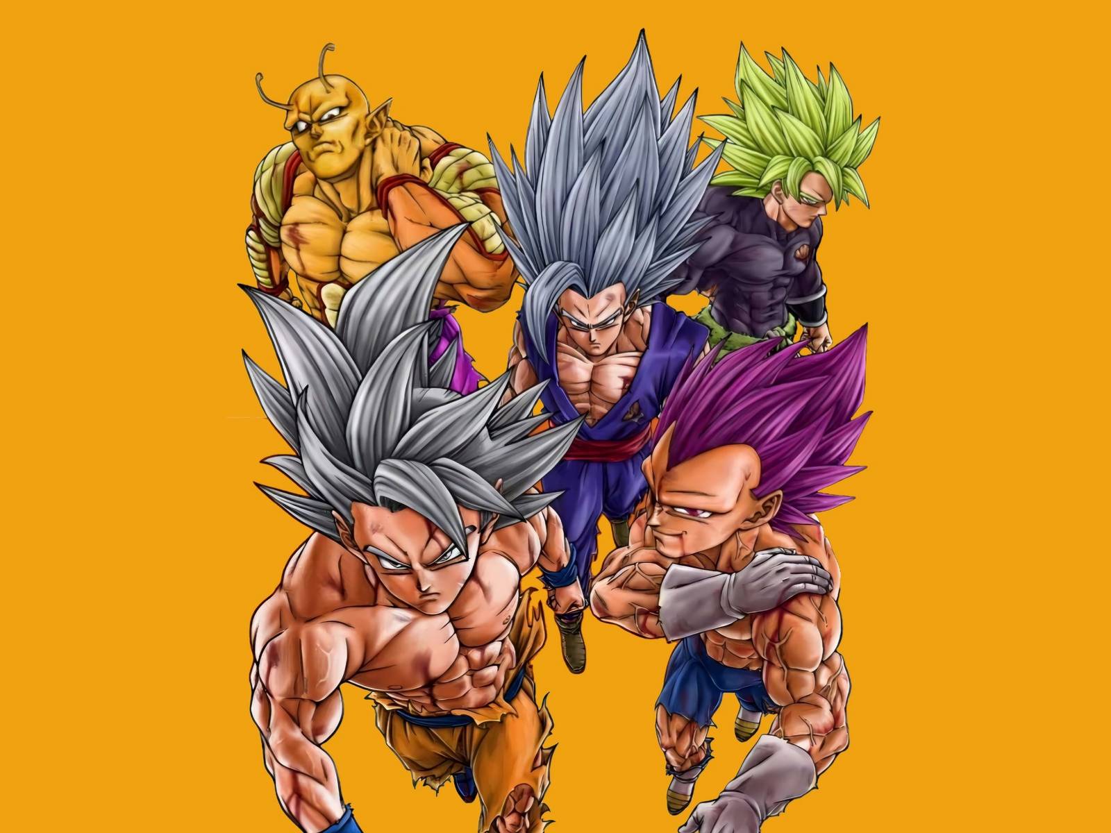 1600x1200 Dragon Ball Super Finally Makes Clear Who the Series' 5 Main Characters Are