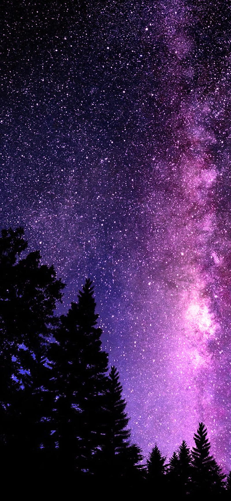 800x1734 Purple Heaven, dark, galaxy, pretty, purple, sky, trees, HD phone wallpaper