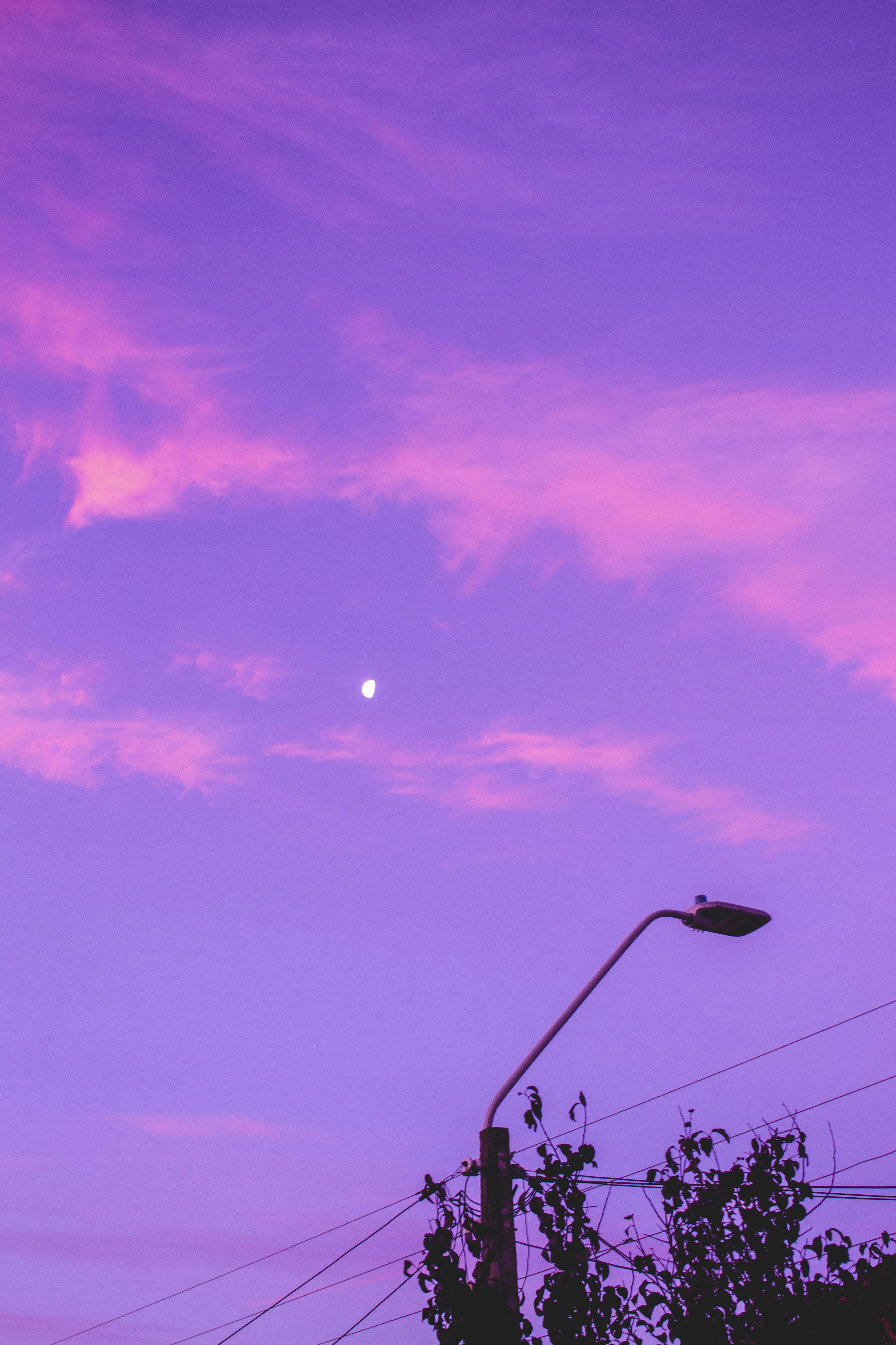 3000x4500 Purple Moon Picture. Download Free Image