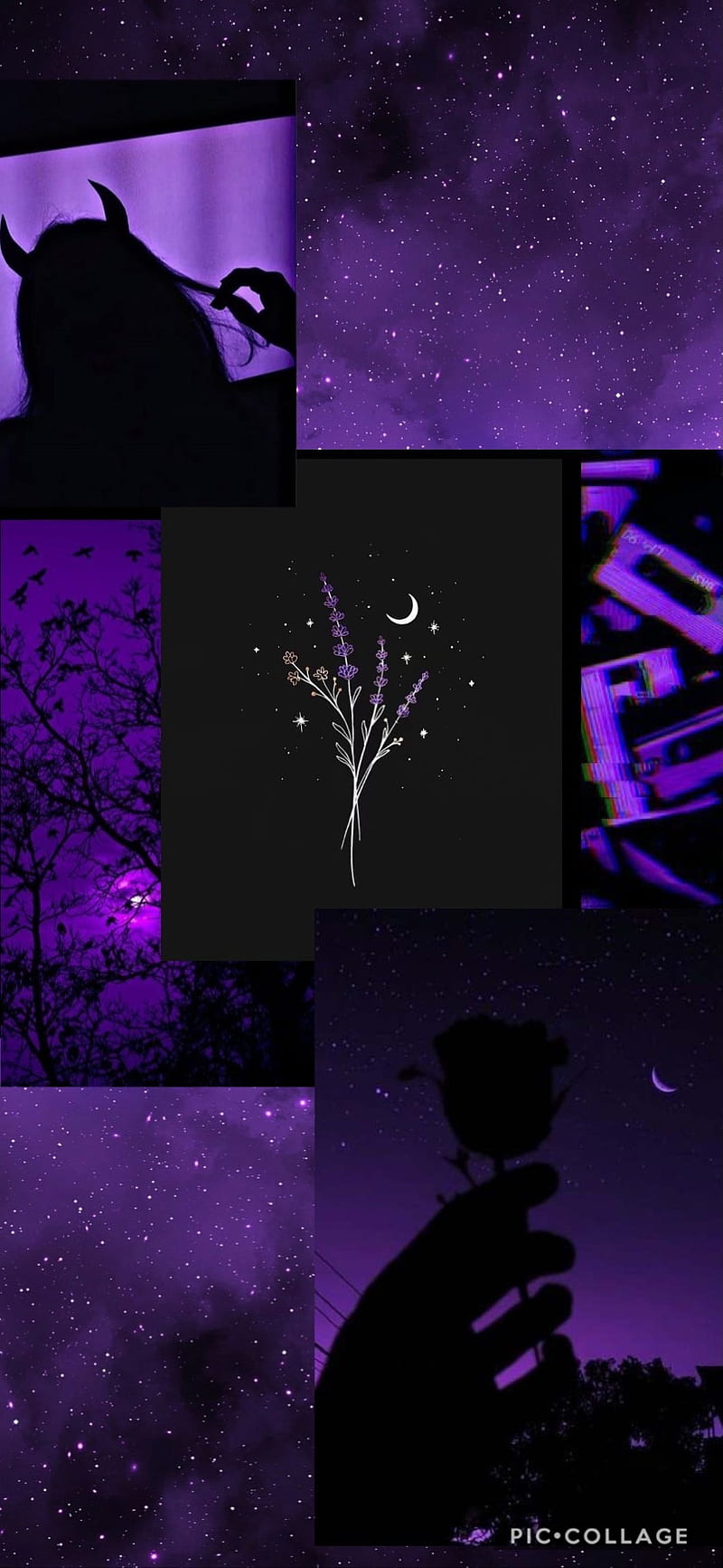 800x1733 Purple sky, black, cd, christmas, clouds, moon, plant, purple, sky, star, HD phone wallpaper