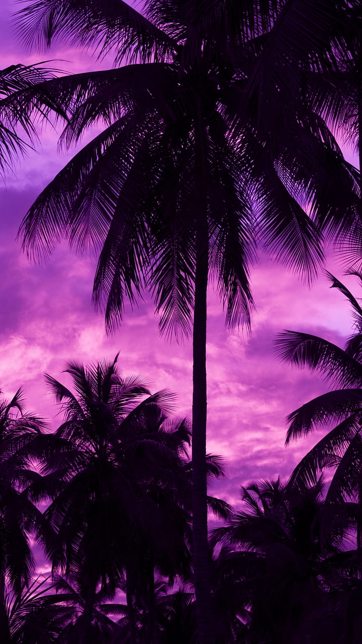 728x1295 HD wallpaper: purple background, palm trees, outdoors, dark, sky